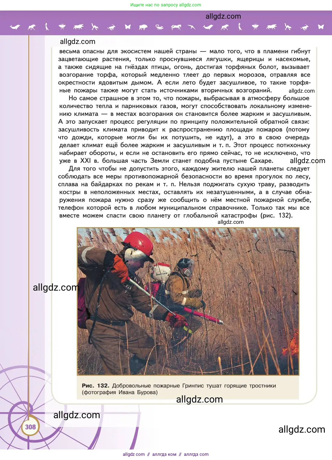 Биология, 11 класс Учебник, авторы: Пасечник Владимир Васильевич, Каменский Андрей Александрович, Рубцов Александр Михайлович, Швецов Глеб Геннадьевич, Абовян Леван Арташесович, Гапонюк Зоя Георгиевна, издательство Просвещение, Москва, 2019, страница 308