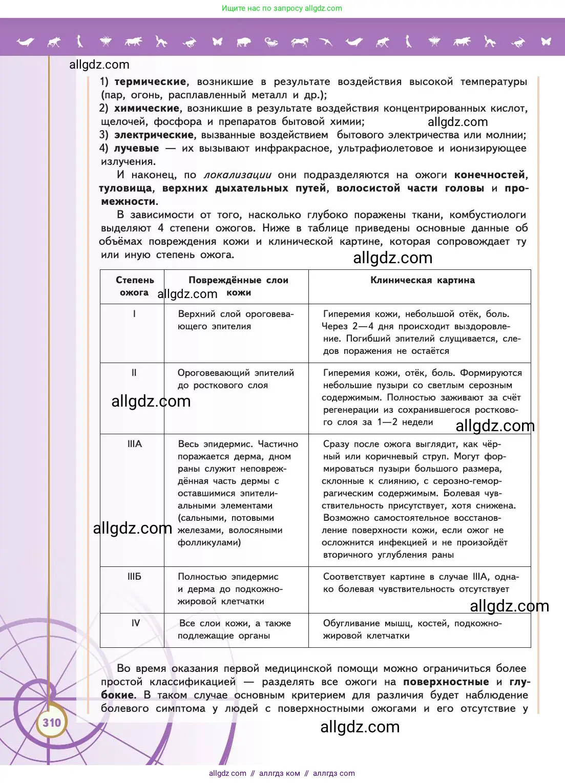 Биология, 11 класс Учебник, авторы: Пасечник Владимир Васильевич, Каменский Андрей Александрович, Рубцов Александр Михайлович, Швецов Глеб Геннадьевич, Абовян Леван Арташесович, Гапонюк Зоя Георгиевна, издательство Просвещение, Москва, 2019, страница 310