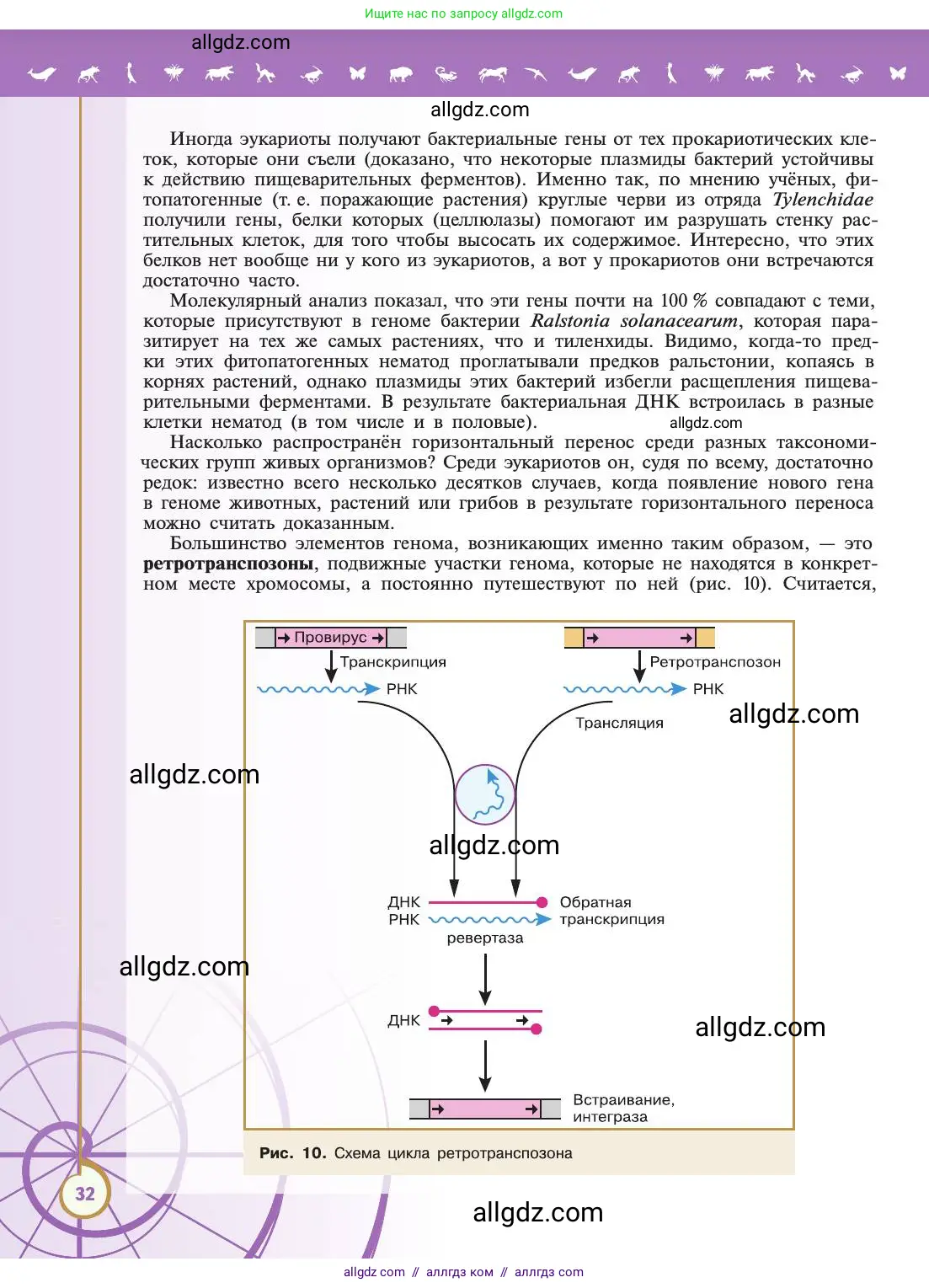 Биология, 11 класс Учебник, авторы: Пасечник Владимир Васильевич, Каменский Андрей Александрович, Рубцов Александр Михайлович, Швецов Глеб Геннадьевич, Абовян Леван Арташесович, Гапонюк Зоя Георгиевна, издательство Просвещение, Москва, 2019, страница 32