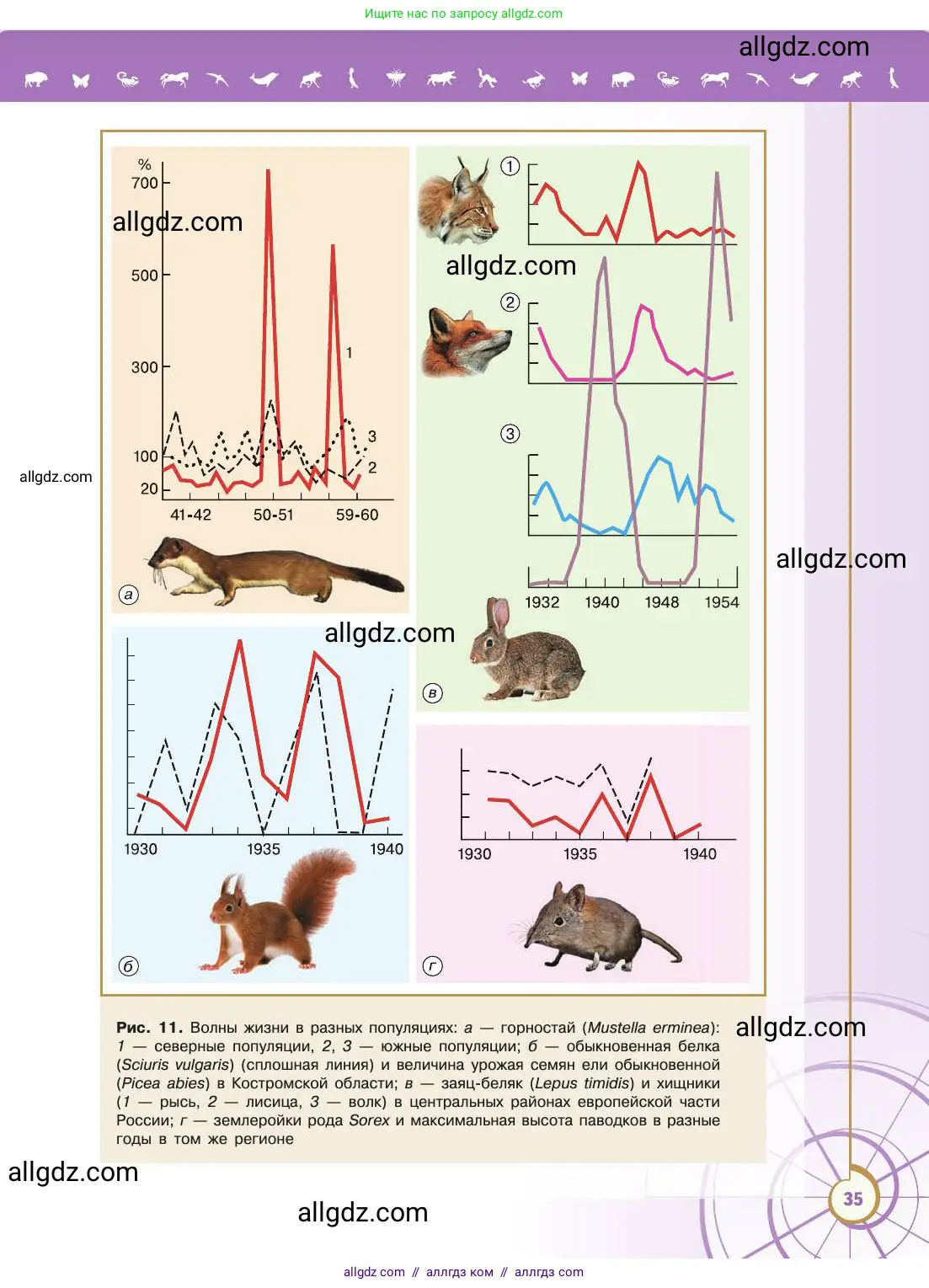 Биология, 11 класс Учебник, авторы: Пасечник Владимир Васильевич, Каменский Андрей Александрович, Рубцов Александр Михайлович, Швецов Глеб Геннадьевич, Абовян Леван Арташесович, Гапонюк Зоя Георгиевна, издательство Просвещение, Москва, 2019, страница 35