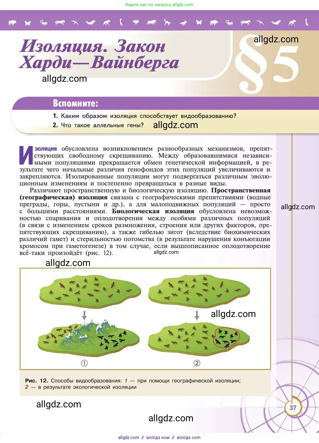 Биология, 11 класс Учебник, авторы: Пасечник Владимир Васильевич, Каменский Андрей Александрович, Рубцов Александр Михайлович, Швецов Глеб Геннадьевич, Абовян Леван Арташесович, Гапонюк Зоя Георгиевна, издательство Просвещение, Москва, 2019, страница 37