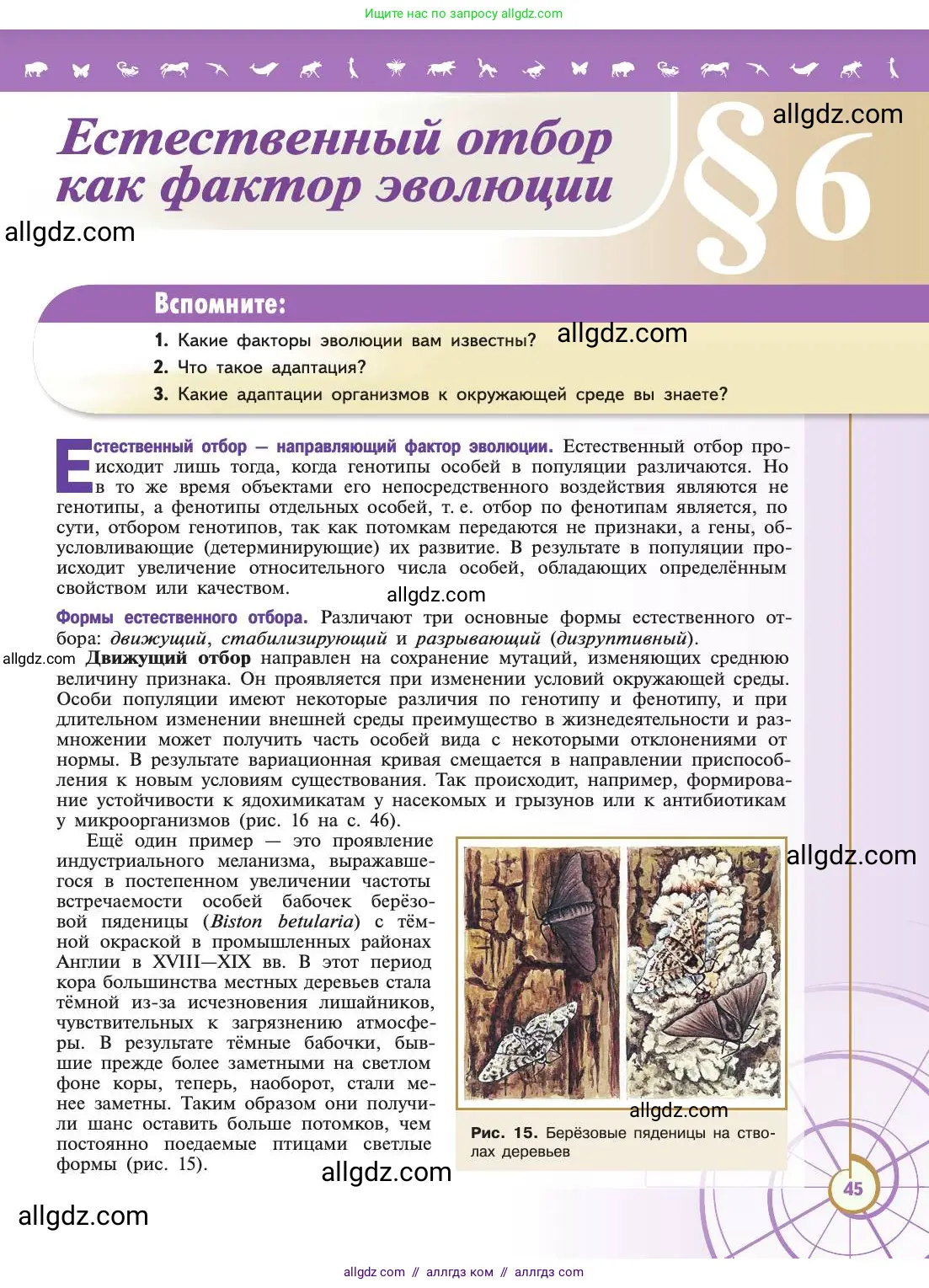 Биология, 11 класс Учебник, авторы: Пасечник Владимир Васильевич, Каменский Андрей Александрович, Рубцов Александр Михайлович, Швецов Глеб Геннадьевич, Абовян Леван Арташесович, Гапонюк Зоя Георгиевна, издательство Просвещение, Москва, 2019, страница 45