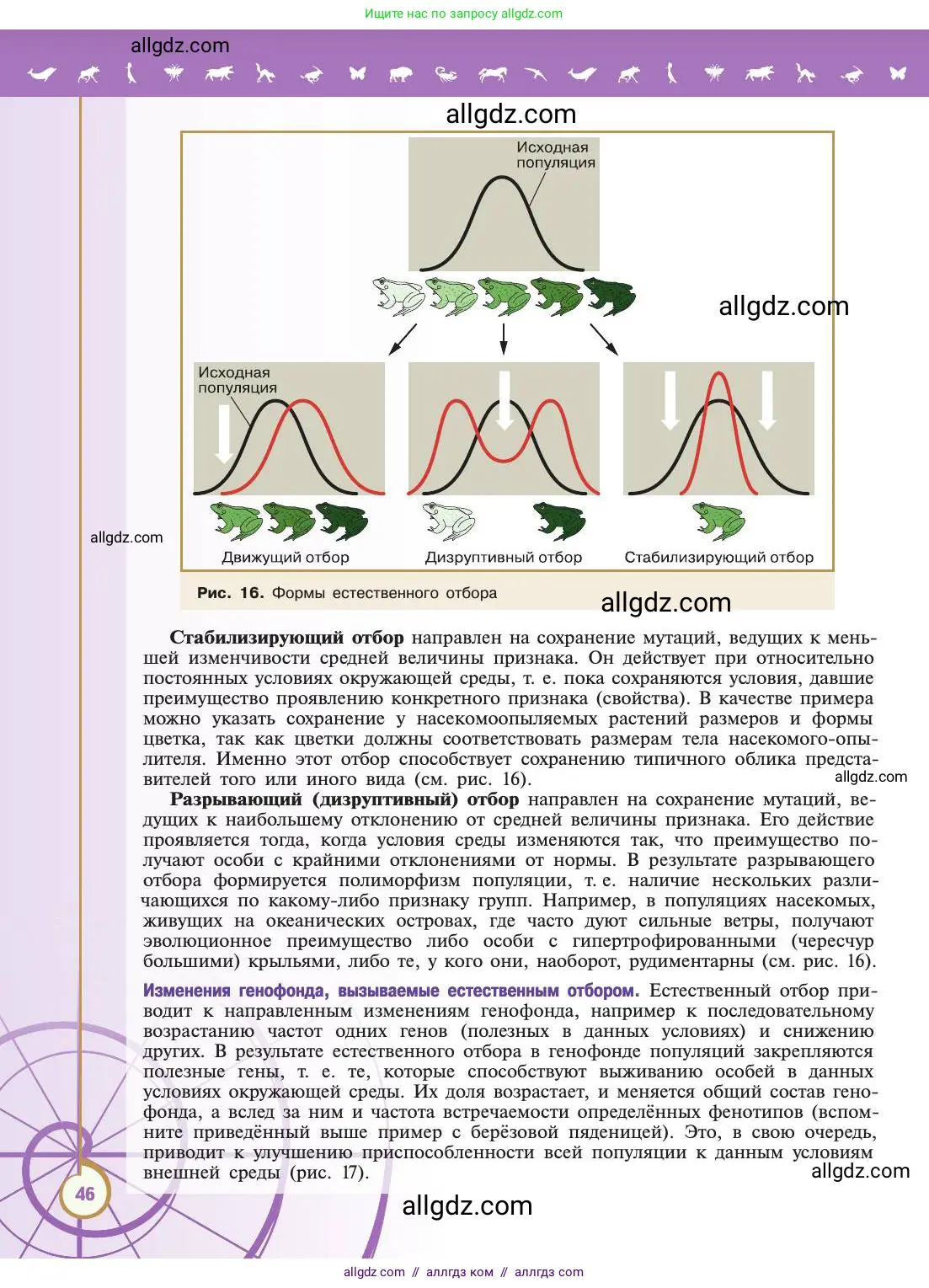 Биология, 11 класс Учебник, авторы: Пасечник Владимир Васильевич, Каменский Андрей Александрович, Рубцов Александр Михайлович, Швецов Глеб Геннадьевич, Абовян Леван Арташесович, Гапонюк Зоя Георгиевна, издательство Просвещение, Москва, 2019, страница 46