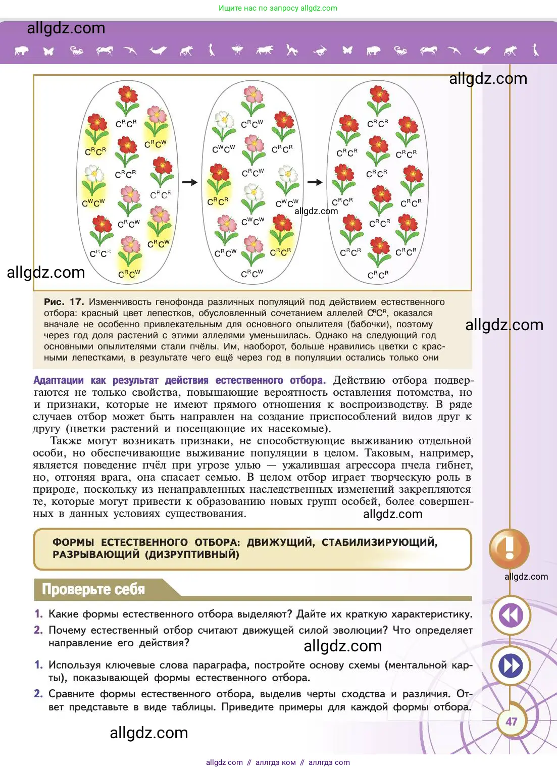 Биология, 11 класс Учебник, авторы: Пасечник Владимир Васильевич, Каменский Андрей Александрович, Рубцов Александр Михайлович, Швецов Глеб Геннадьевич, Абовян Леван Арташесович, Гапонюк Зоя Георгиевна, издательство Просвещение, Москва, 2019, страница 47
