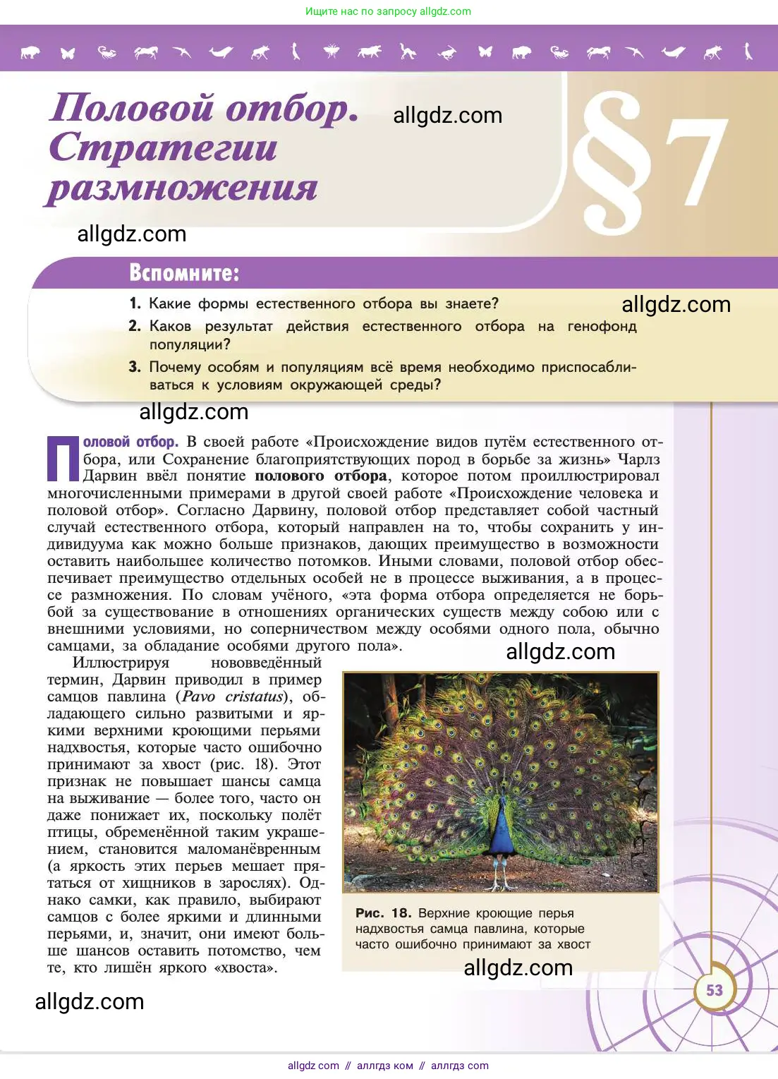 Биология, 11 класс Учебник, авторы: Пасечник Владимир Васильевич, Каменский Андрей Александрович, Рубцов Александр Михайлович, Швецов Глеб Геннадьевич, Абовян Леван Арташесович, Гапонюк Зоя Георгиевна, издательство Просвещение, Москва, 2019, страница 53