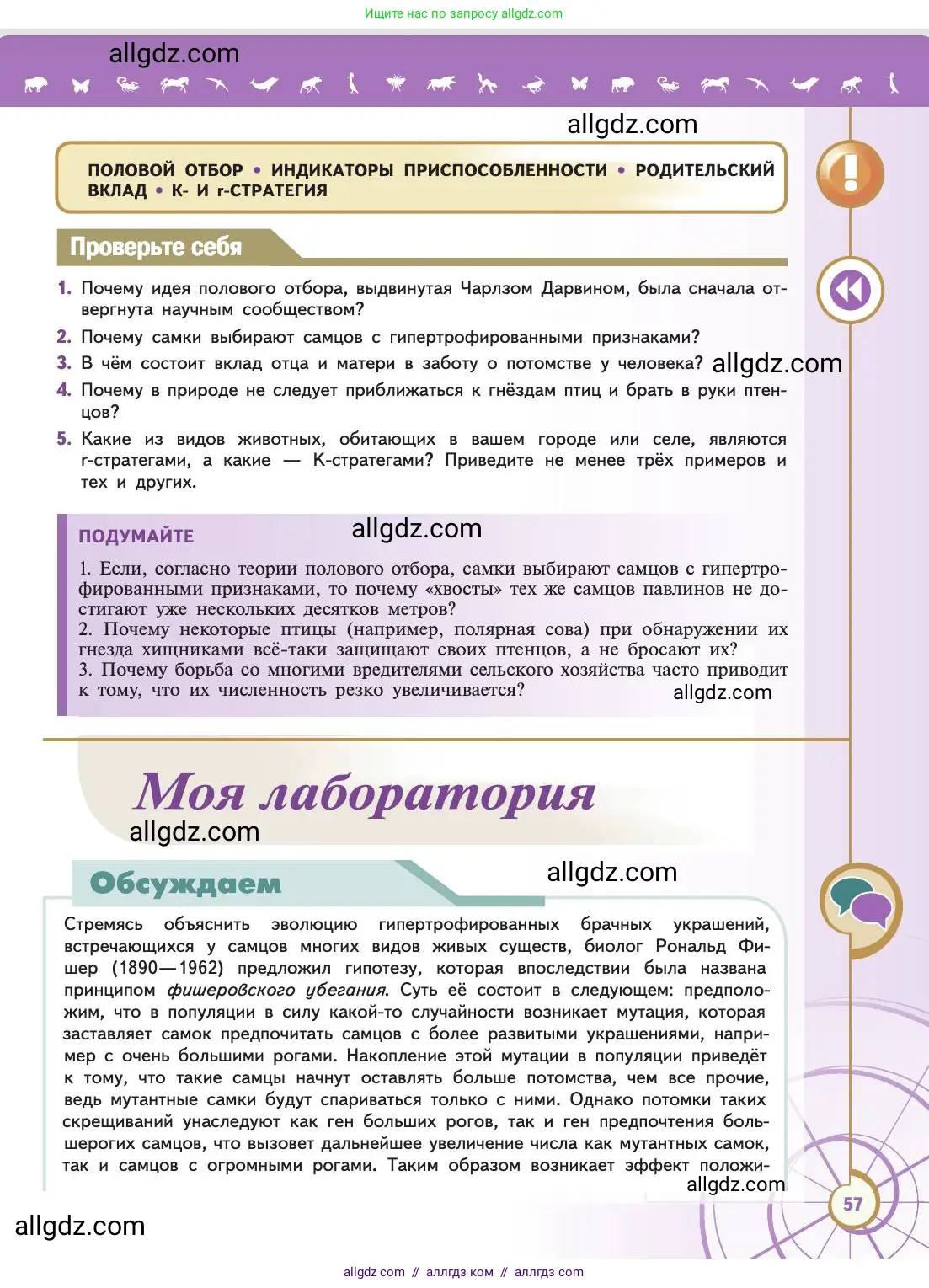 Биология, 11 класс Учебник, авторы: Пасечник Владимир Васильевич, Каменский Андрей Александрович, Рубцов Александр Михайлович, Швецов Глеб Геннадьевич, Абовян Леван Арташесович, Гапонюк Зоя Георгиевна, издательство Просвещение, Москва, 2019, страница 57