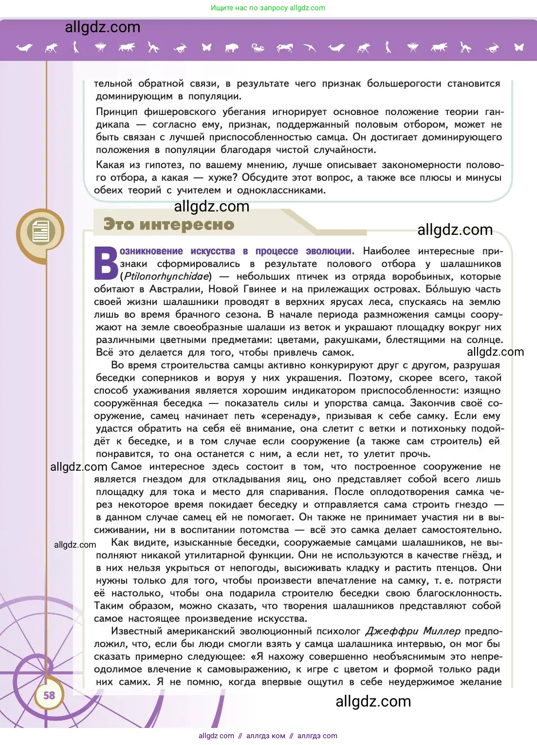 Биология, 11 класс Учебник, авторы: Пасечник Владимир Васильевич, Каменский Андрей Александрович, Рубцов Александр Михайлович, Швецов Глеб Геннадьевич, Абовян Леван Арташесович, Гапонюк Зоя Георгиевна, издательство Просвещение, Москва, 2019, страница 58