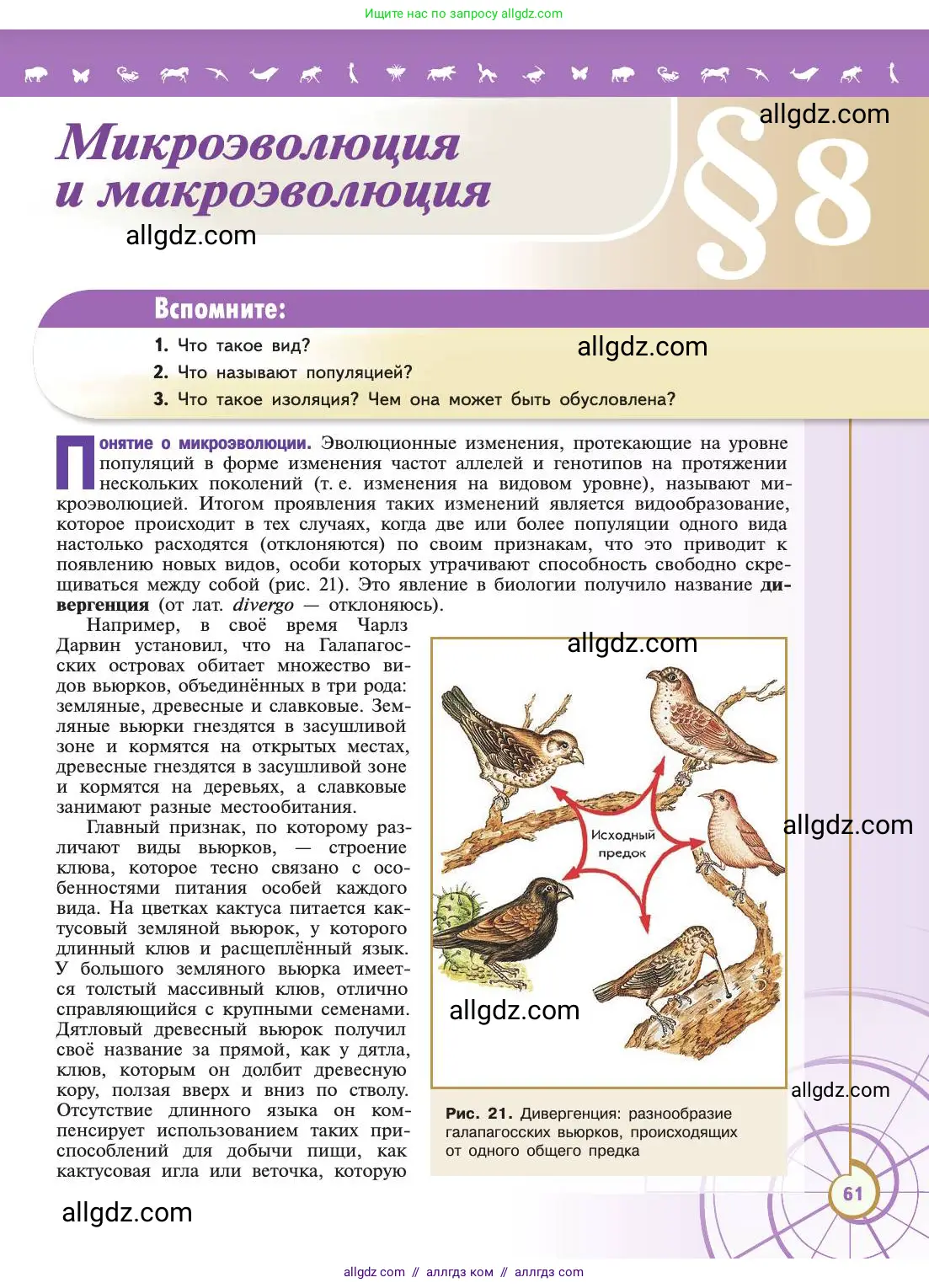 Биология, 11 класс Учебник, авторы: Пасечник Владимир Васильевич, Каменский Андрей Александрович, Рубцов Александр Михайлович, Швецов Глеб Геннадьевич, Абовян Леван Арташесович, Гапонюк Зоя Георгиевна, издательство Просвещение, Москва, 2019, страница 61