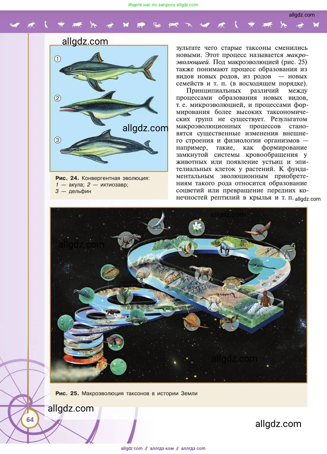 Биология, 11 класс Учебник, авторы: Пасечник Владимир Васильевич, Каменский Андрей Александрович, Рубцов Александр Михайлович, Швецов Глеб Геннадьевич, Абовян Леван Арташесович, Гапонюк Зоя Георгиевна, издательство Просвещение, Москва, 2019, страница 64