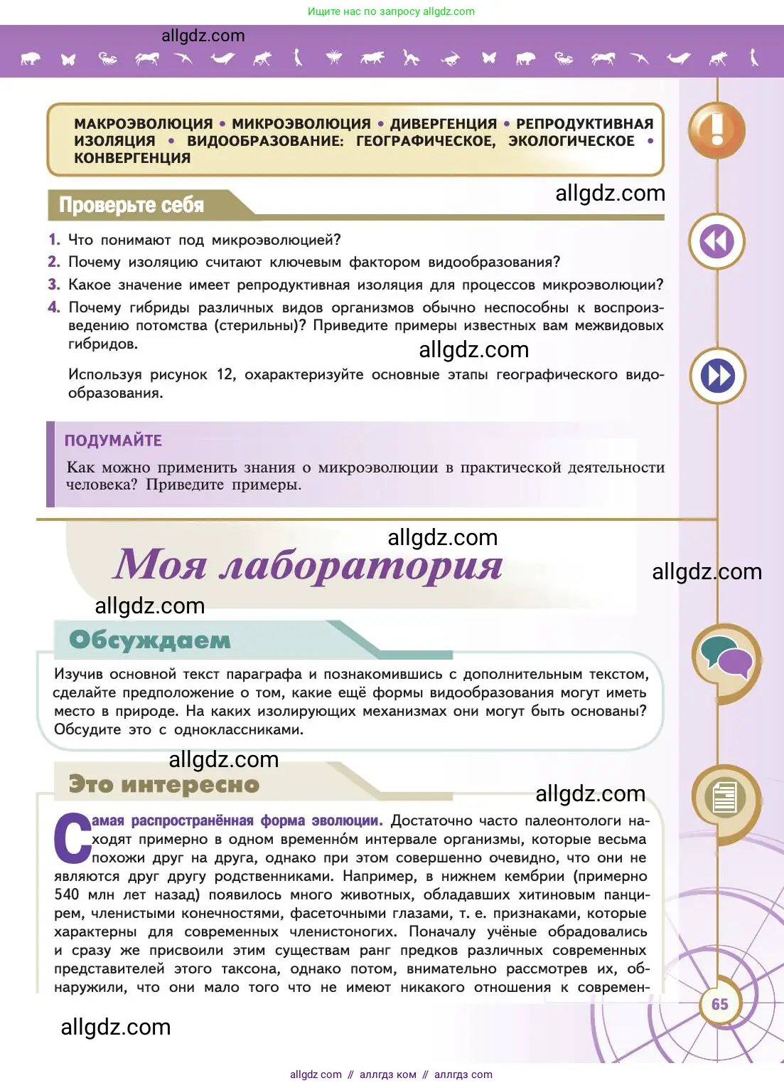 Биология, 11 класс Учебник, авторы: Пасечник Владимир Васильевич, Каменский Андрей Александрович, Рубцов Александр Михайлович, Швецов Глеб Геннадьевич, Абовян Леван Арташесович, Гапонюк Зоя Георгиевна, издательство Просвещение, Москва, 2019, страница 65