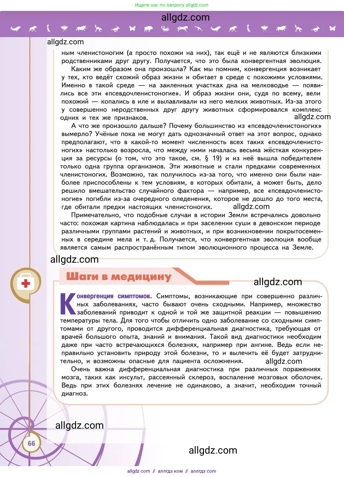 Биология, 11 класс Учебник, авторы: Пасечник Владимир Васильевич, Каменский Андрей Александрович, Рубцов Александр Михайлович, Швецов Глеб Геннадьевич, Абовян Леван Арташесович, Гапонюк Зоя Георгиевна, издательство Просвещение, Москва, 2019, страница 66