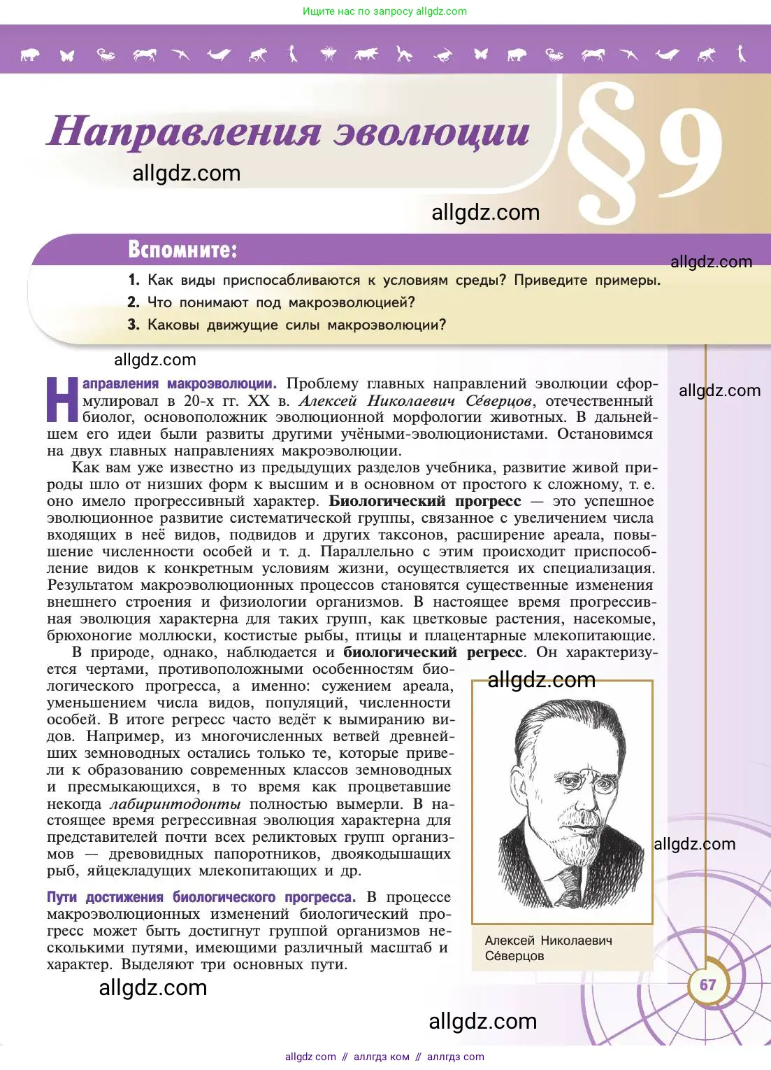 Биология, 11 класс Учебник, авторы: Пасечник Владимир Васильевич, Каменский Андрей Александрович, Рубцов Александр Михайлович, Швецов Глеб Геннадьевич, Абовян Леван Арташесович, Гапонюк Зоя Георгиевна, издательство Просвещение, Москва, 2019, страница 67