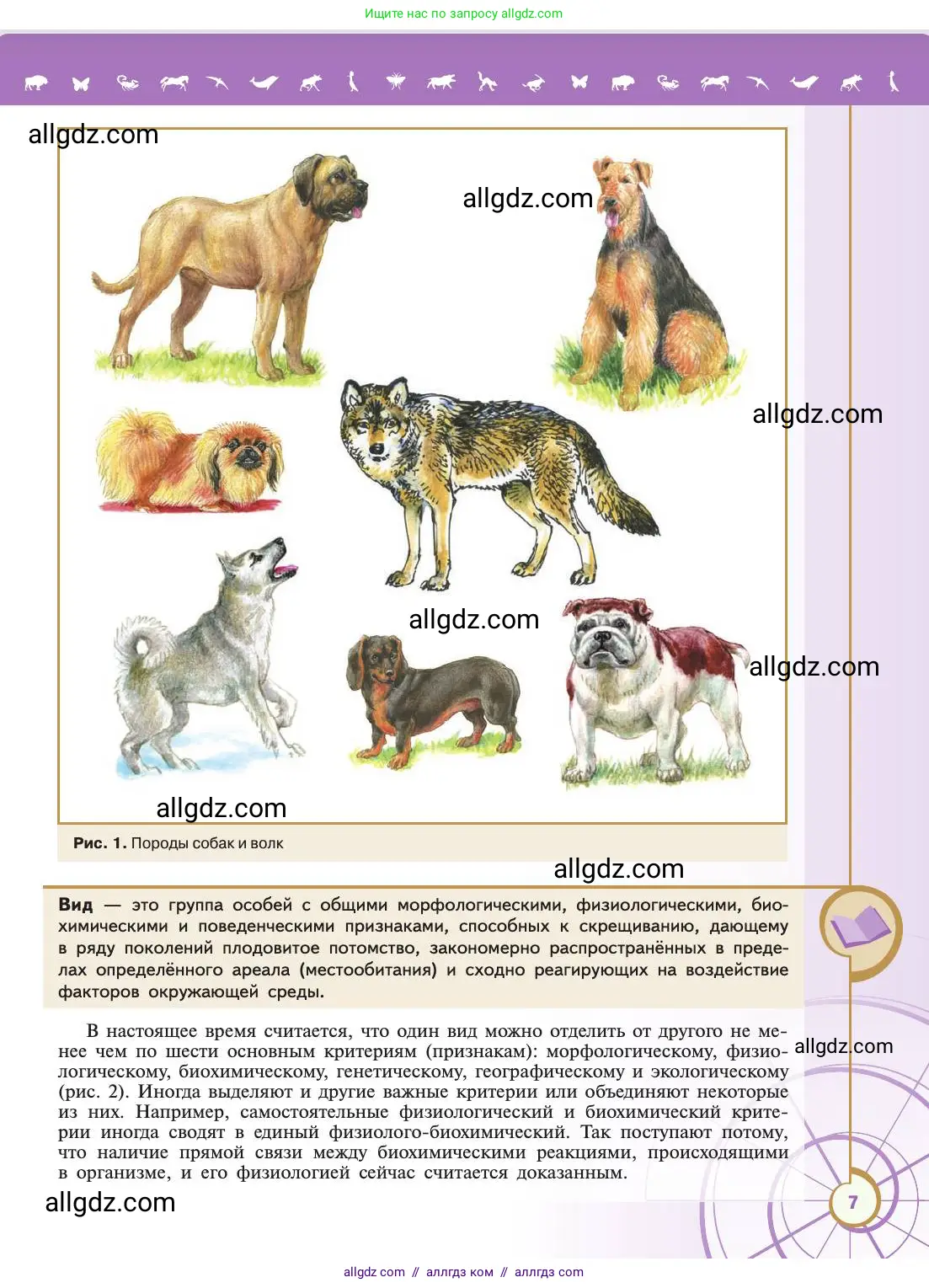 Биология, 11 класс Учебник, авторы: Пасечник Владимир Васильевич, Каменский Андрей Александрович, Рубцов Александр Михайлович, Швецов Глеб Геннадьевич, Абовян Леван Арташесович, Гапонюк Зоя Георгиевна, издательство Просвещение, Москва, 2019, страница 7