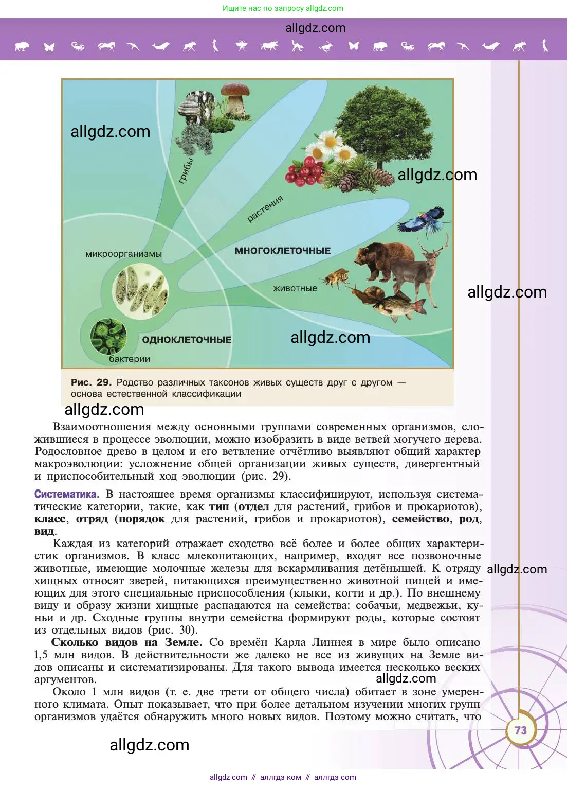 Биология, 11 класс Учебник, авторы: Пасечник Владимир Васильевич, Каменский Андрей Александрович, Рубцов Александр Михайлович, Швецов Глеб Геннадьевич, Абовян Леван Арташесович, Гапонюк Зоя Георгиевна, издательство Просвещение, Москва, 2019, страница 73