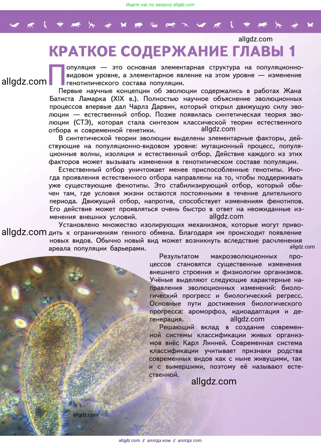 Биология, 11 класс Учебник, авторы: Пасечник Владимир Васильевич, Каменский Андрей Александрович, Рубцов Александр Михайлович, Швецов Глеб Геннадьевич, Абовян Леван Арташесович, Гапонюк Зоя Георгиевна, издательство Просвещение, Москва, 2019, страница 78