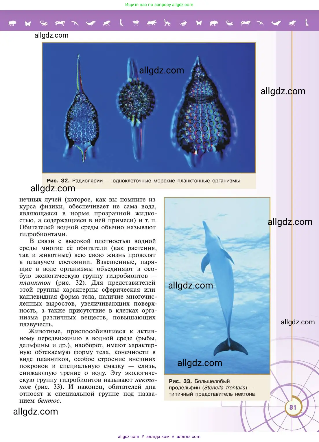 Биология, 11 класс Учебник, авторы: Пасечник Владимир Васильевич, Каменский Андрей Александрович, Рубцов Александр Михайлович, Швецов Глеб Геннадьевич, Абовян Леван Арташесович, Гапонюк Зоя Георгиевна, издательство Просвещение, Москва, 2019, страница 81