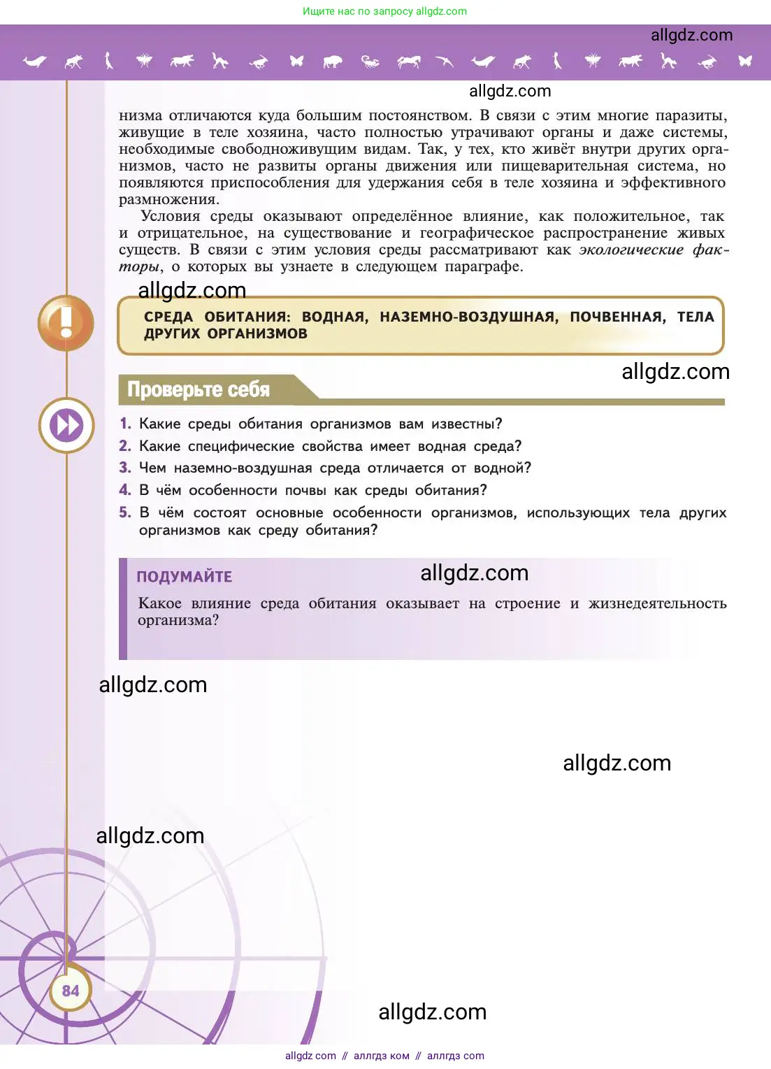 Биология, 11 класс Учебник, авторы: Пасечник Владимир Васильевич, Каменский Андрей Александрович, Рубцов Александр Михайлович, Швецов Глеб Геннадьевич, Абовян Леван Арташесович, Гапонюк Зоя Георгиевна, издательство Просвещение, Москва, 2019, страница 84