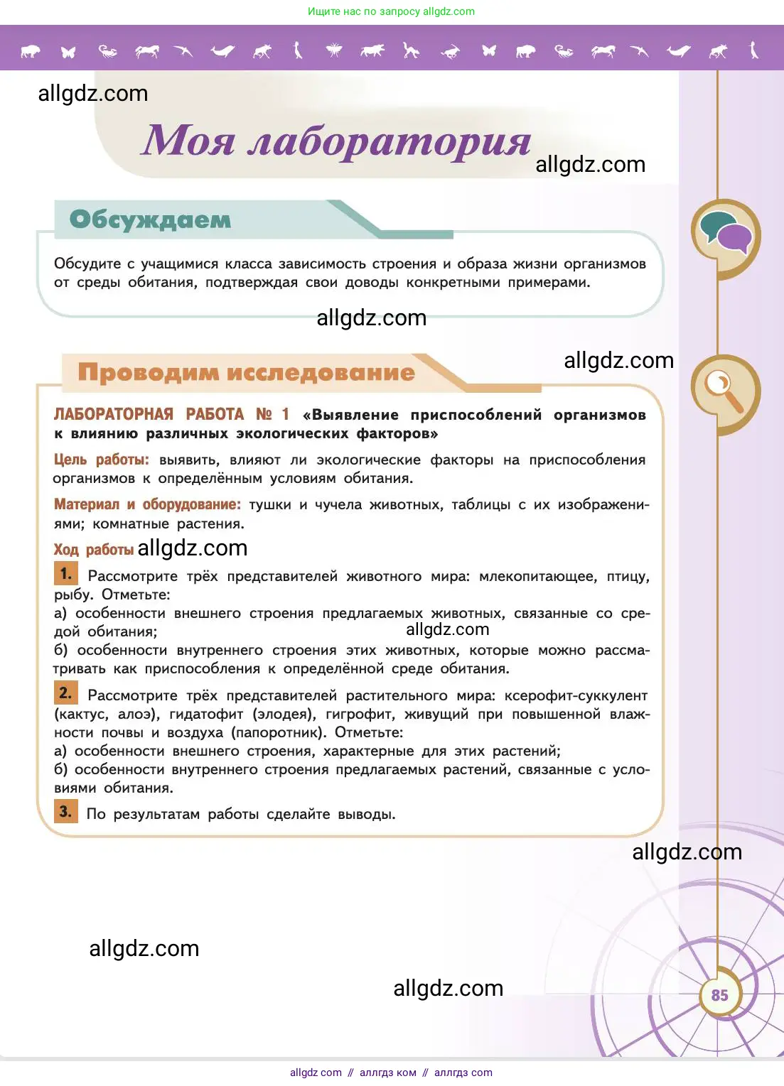 Биология, 11 класс Учебник, авторы: Пасечник Владимир Васильевич, Каменский Андрей Александрович, Рубцов Александр Михайлович, Швецов Глеб Геннадьевич, Абовян Леван Арташесович, Гапонюк Зоя Георгиевна, издательство Просвещение, Москва, 2019, страница 85
