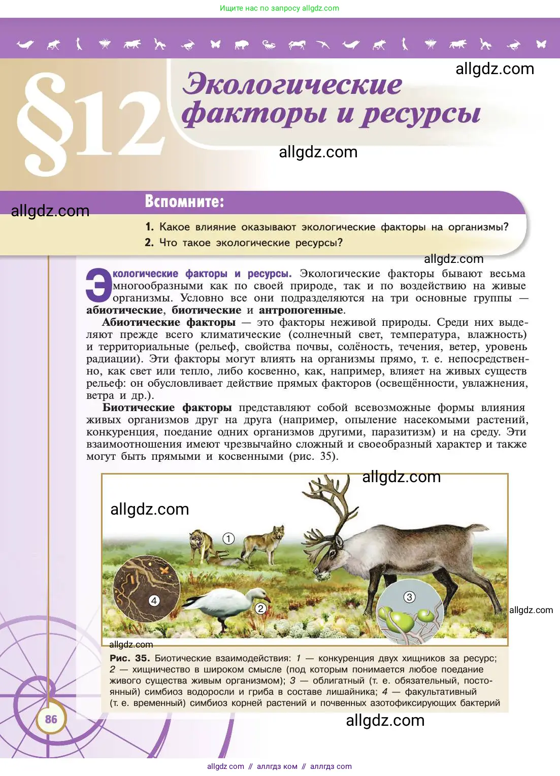 Биология, 11 класс Учебник, авторы: Пасечник Владимир Васильевич, Каменский Андрей Александрович, Рубцов Александр Михайлович, Швецов Глеб Геннадьевич, Абовян Леван Арташесович, Гапонюк Зоя Георгиевна, издательство Просвещение, Москва, 2019, страница 86