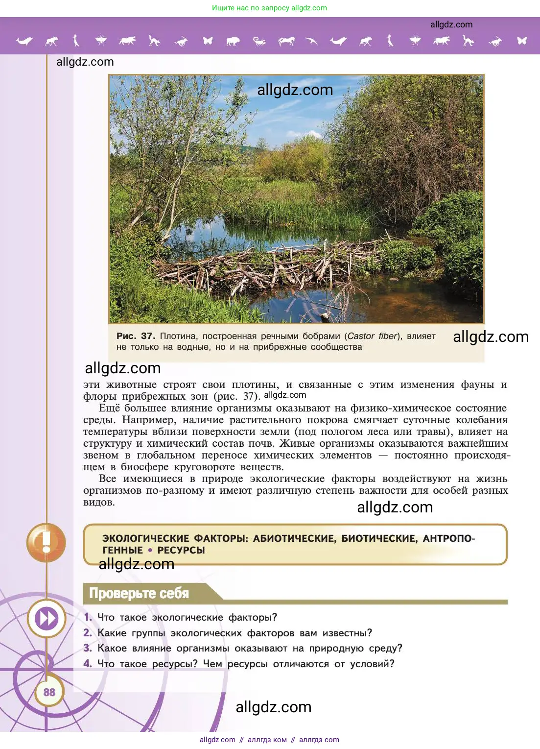 Биология, 11 класс Учебник, авторы: Пасечник Владимир Васильевич, Каменский Андрей Александрович, Рубцов Александр Михайлович, Швецов Глеб Геннадьевич, Абовян Леван Арташесович, Гапонюк Зоя Георгиевна, издательство Просвещение, Москва, 2019, страница 88