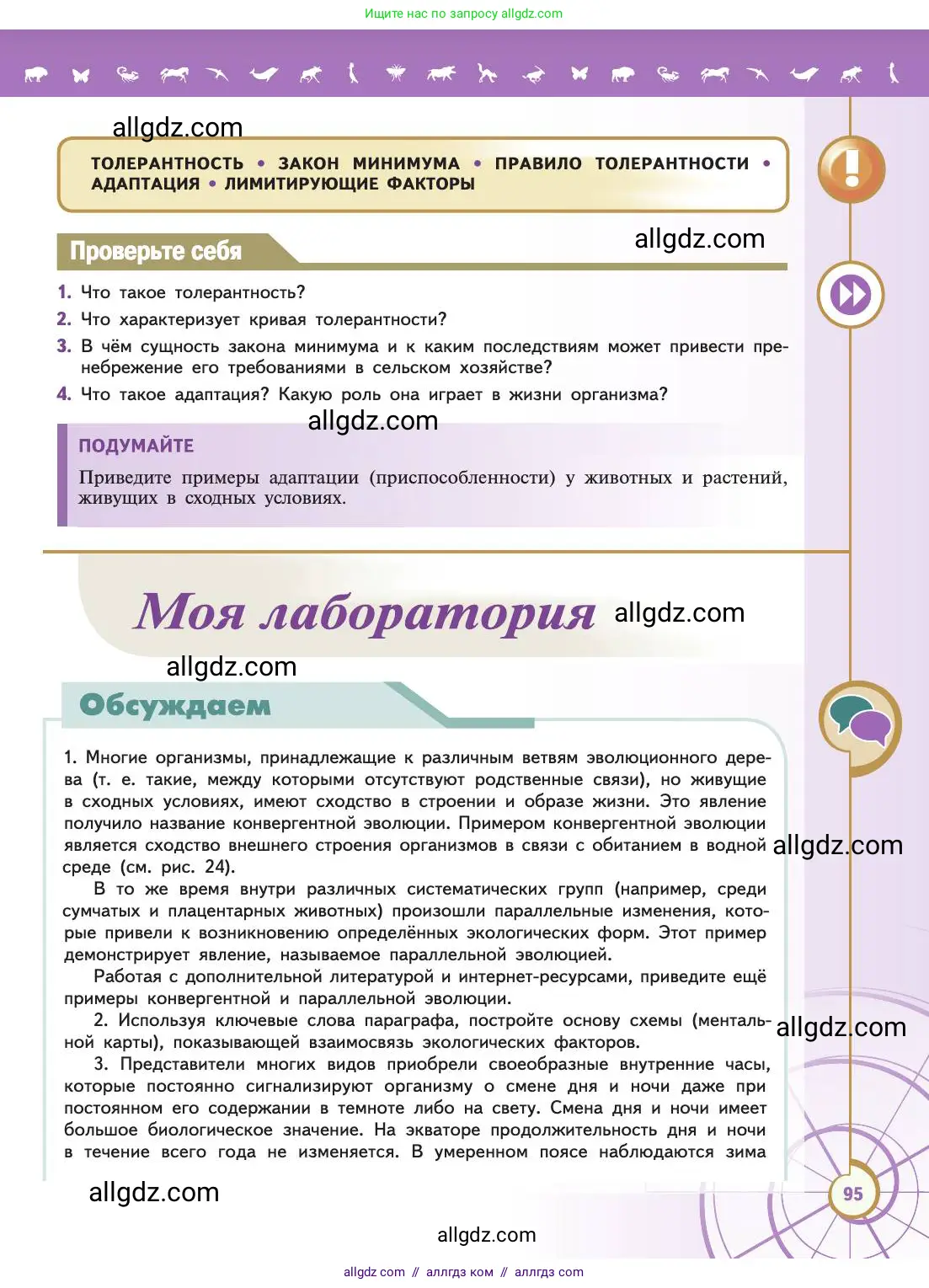 Биология, 11 класс Учебник, авторы: Пасечник Владимир Васильевич, Каменский Андрей Александрович, Рубцов Александр Михайлович, Швецов Глеб Геннадьевич, Абовян Леван Арташесович, Гапонюк Зоя Георгиевна, издательство Просвещение, Москва, 2019, страница 95