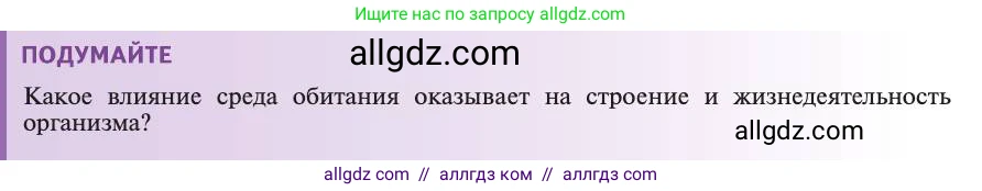 Биология, 11 класс Учебник, авторы: Пасечник Владимир Васильевич, Каменский Андрей Александрович, Рубцов Александр Михайлович, Швецов Глеб Геннадьевич, Абовян Леван Арташесович, Гапонюк Зоя Георгиевна, издательство Просвещение, Москва, 2019, страница 84, Условие