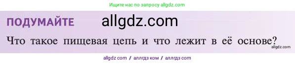 Биология, 11 класс Учебник, авторы: Пасечник Владимир Васильевич, Каменский Андрей Александрович, Рубцов Александр Михайлович, Швецов Глеб Геннадьевич, Абовян Леван Арташесович, Гапонюк Зоя Георгиевна, издательство Просвещение, Москва, 2019, страница 169, Условие