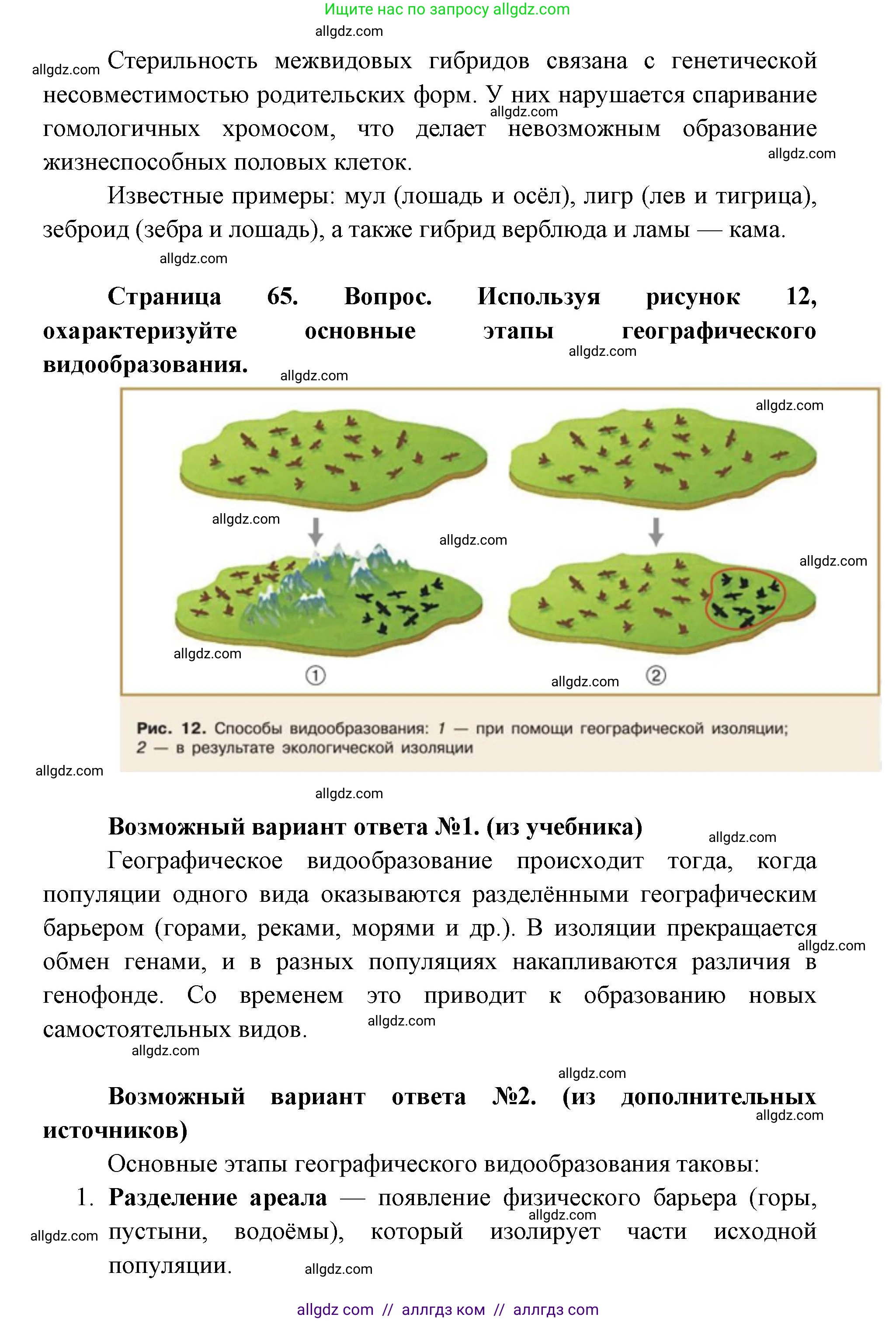 Биология, 11 класс Учебник, авторы: Пасечник Владимир Васильевич, Каменский Андрей Александрович, Рубцов Александр Михайлович, Швецов Глеб Геннадьевич, Абовян Леван Арташесович, Гапонюк Зоя Георгиевна, издательство Просвещение, Москва, 2019, страница 65, номер 4, Решение 1 (продолжение 2)