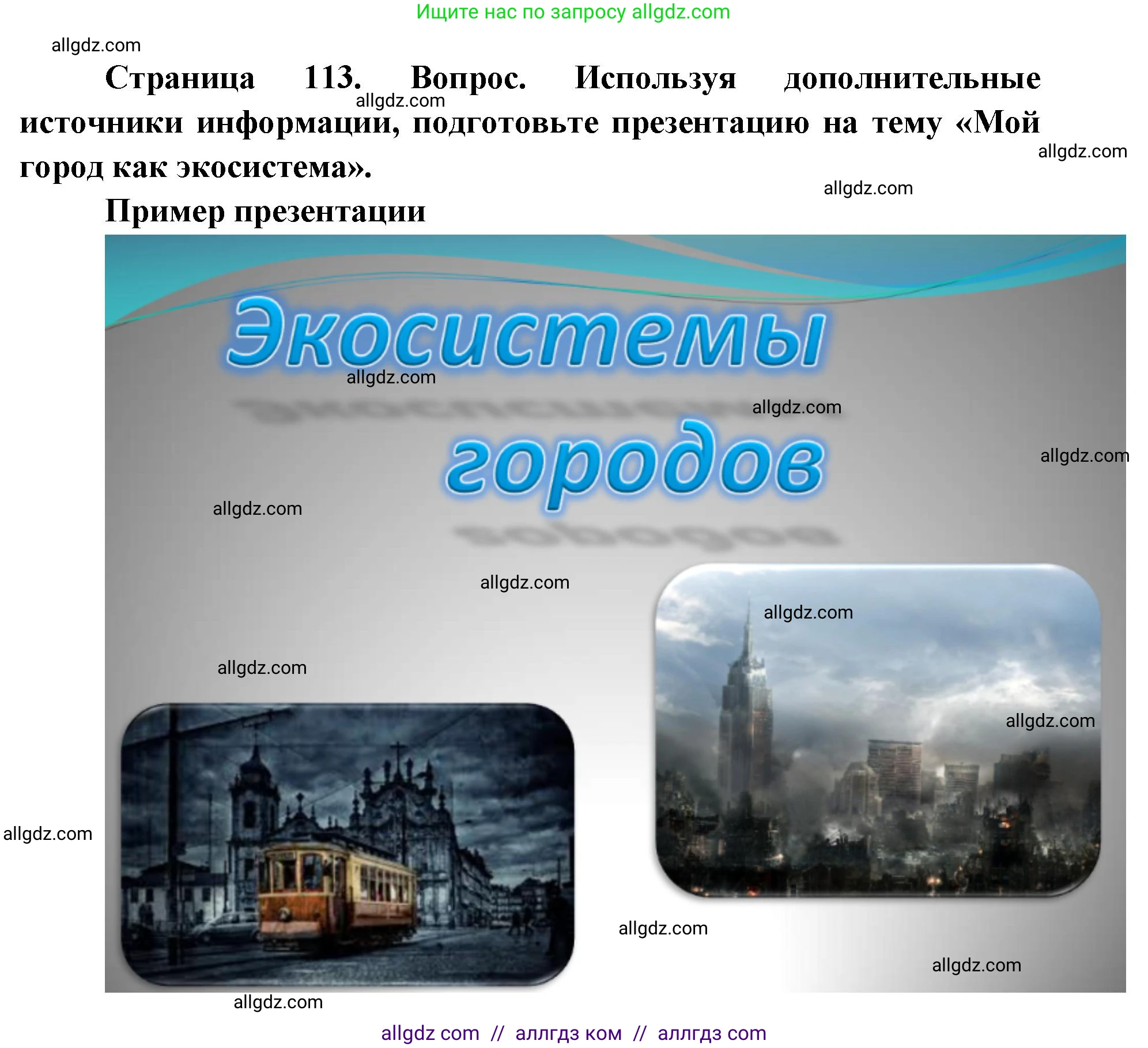 Биология, 11 класс Учебник, авторы: Пасечник Владимир Васильевич, Каменский Андрей Александрович, Рубцов Александр Михайлович, Швецов Глеб Геннадьевич, Абовян Леван Арташесович, Гапонюк Зоя Георгиевна, издательство Просвещение, Москва, 2019, страница 113, номер 4, Решение 1 (продолжение 2)