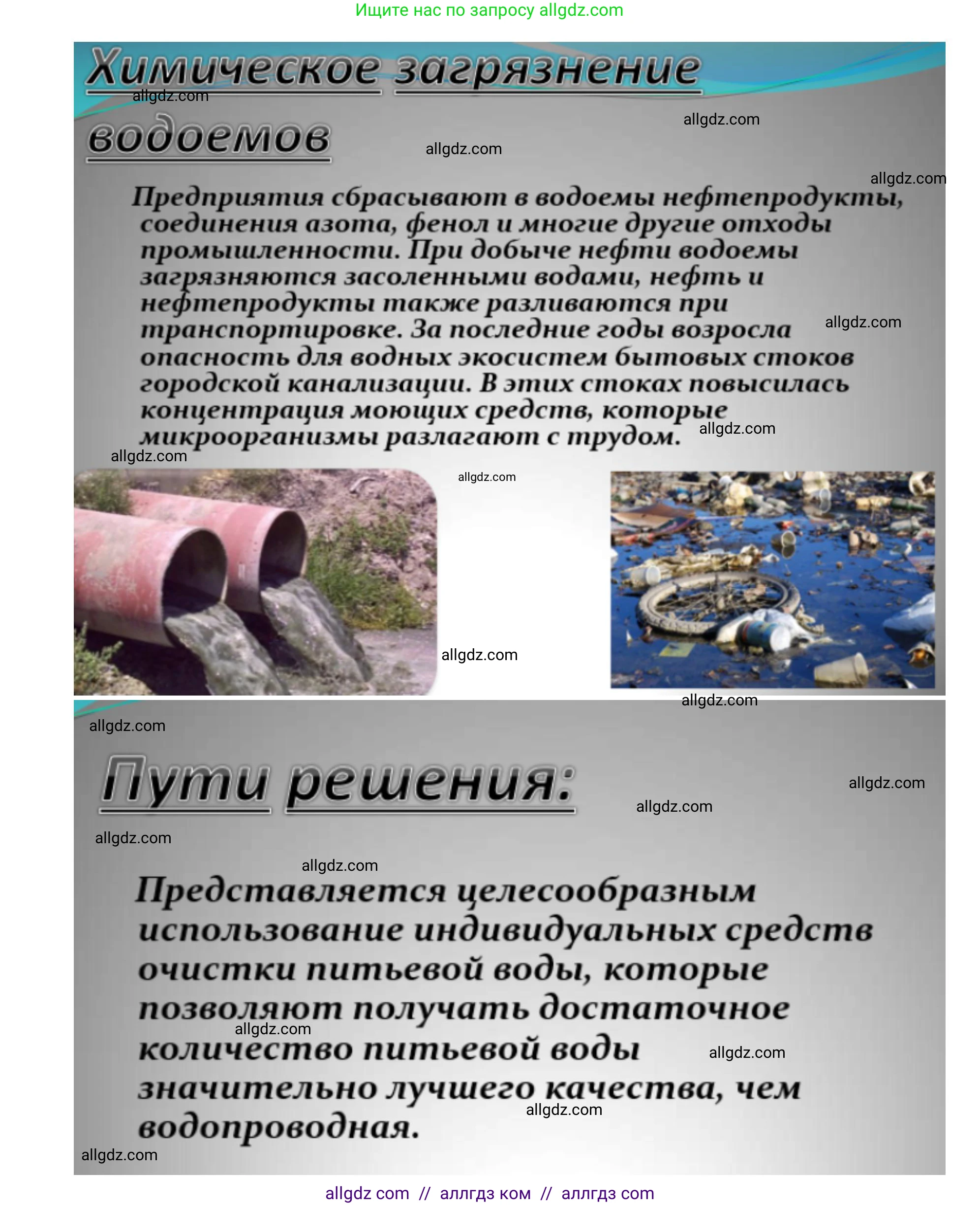 Биология, 11 класс Учебник, авторы: Пасечник Владимир Васильевич, Каменский Андрей Александрович, Рубцов Александр Михайлович, Швецов Глеб Геннадьевич, Абовян Леван Арташесович, Гапонюк Зоя Георгиевна, издательство Просвещение, Москва, 2019, страница 113, номер 4, Решение 1 (продолжение 5)