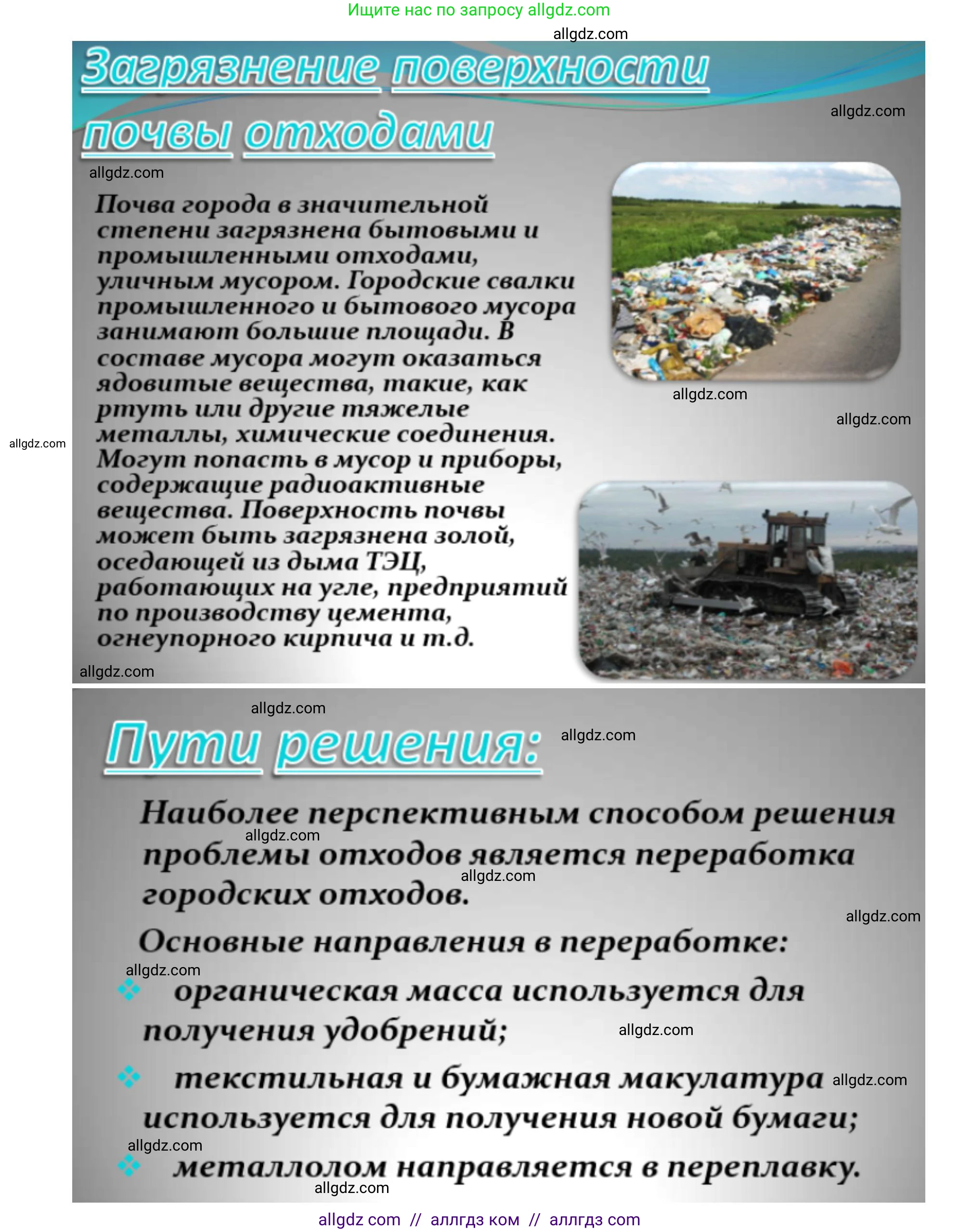 Биология, 11 класс Учебник, авторы: Пасечник Владимир Васильевич, Каменский Андрей Александрович, Рубцов Александр Михайлович, Швецов Глеб Геннадьевич, Абовян Леван Арташесович, Гапонюк Зоя Георгиевна, издательство Просвещение, Москва, 2019, страница 113, номер 4, Решение 1 (продолжение 6)
