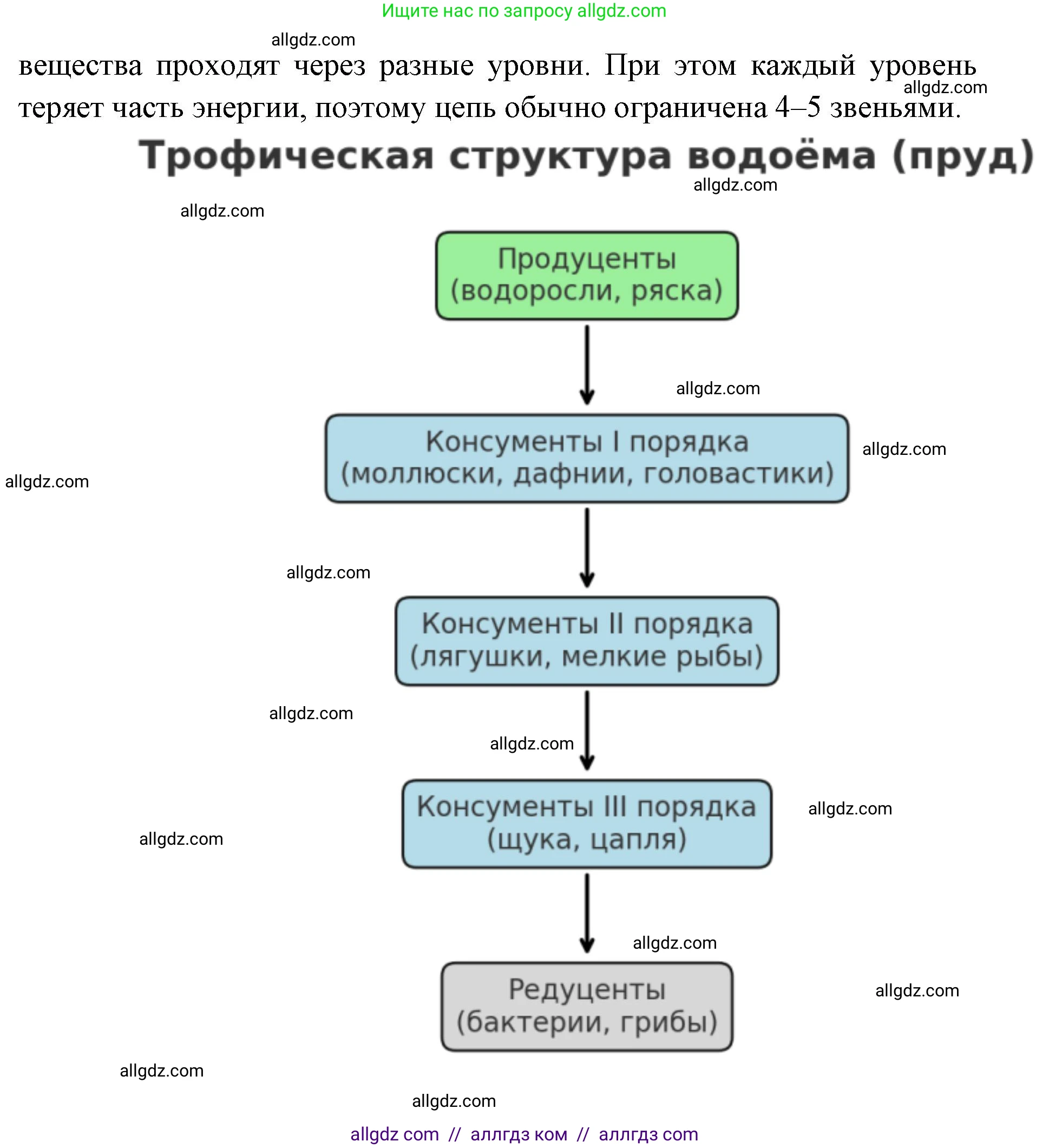 Биология, 11 класс Учебник, авторы: Пасечник Владимир Васильевич, Каменский Андрей Александрович, Рубцов Александр Михайлович, Швецов Глеб Геннадьевич, Абовян Леван Арташесович, Гапонюк Зоя Георгиевна, издательство Просвещение, Москва, 2019, страница 164, номер 4, Решение 1 (продолжение 2)
