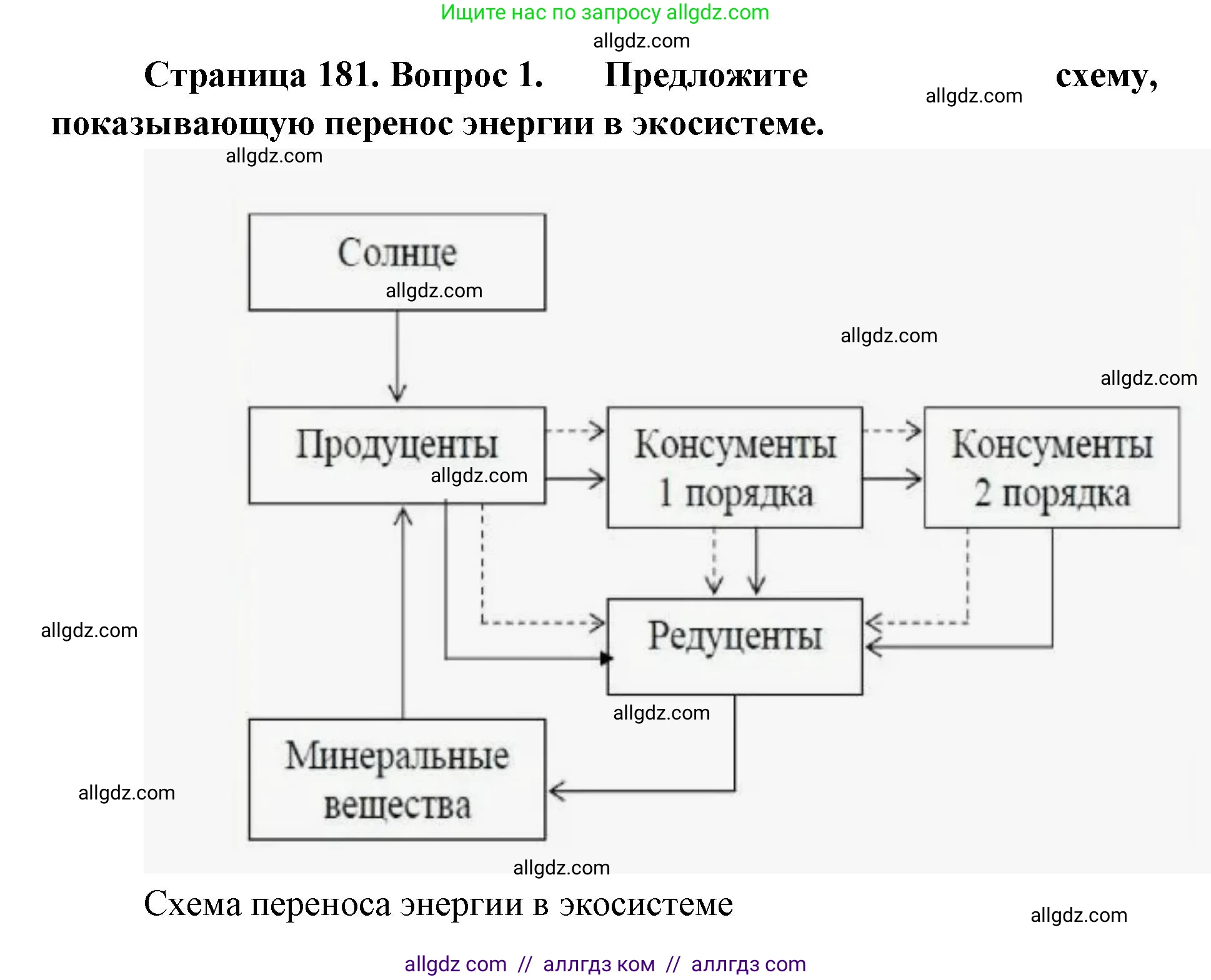 Биология, 11 класс Учебник, авторы: Пасечник Владимир Васильевич, Каменский Андрей Александрович, Рубцов Александр Михайлович, Швецов Глеб Геннадьевич, Абовян Леван Арташесович, Гапонюк Зоя Георгиевна, издательство Просвещение, Москва, 2019, страница 181, номер 1, Решение 1