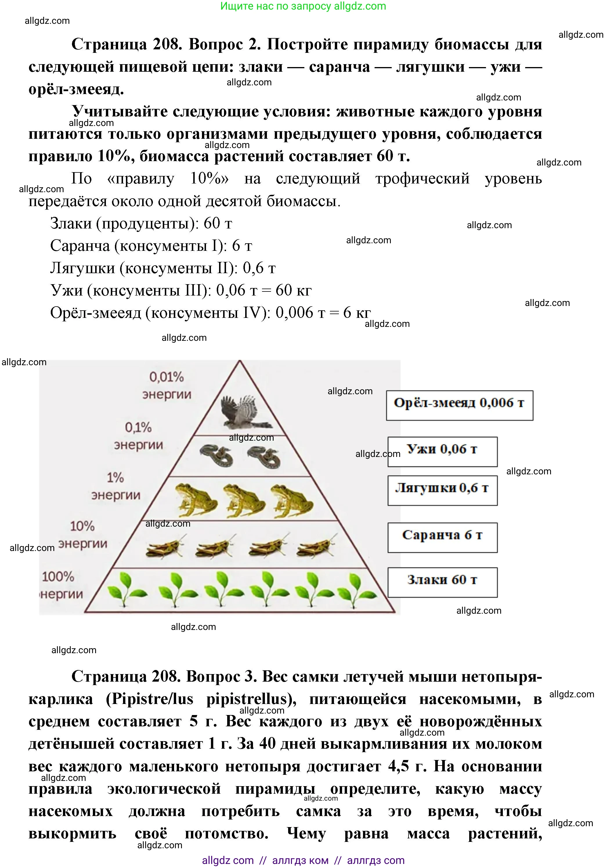 Биология, 11 класс Учебник, авторы: Пасечник Владимир Васильевич, Каменский Андрей Александрович, Рубцов Александр Михайлович, Швецов Глеб Геннадьевич, Абовян Леван Арташесович, Гапонюк Зоя Георгиевна, издательство Просвещение, Москва, 2019, страница 208, номер 2, Решение 1 (продолжение 2)