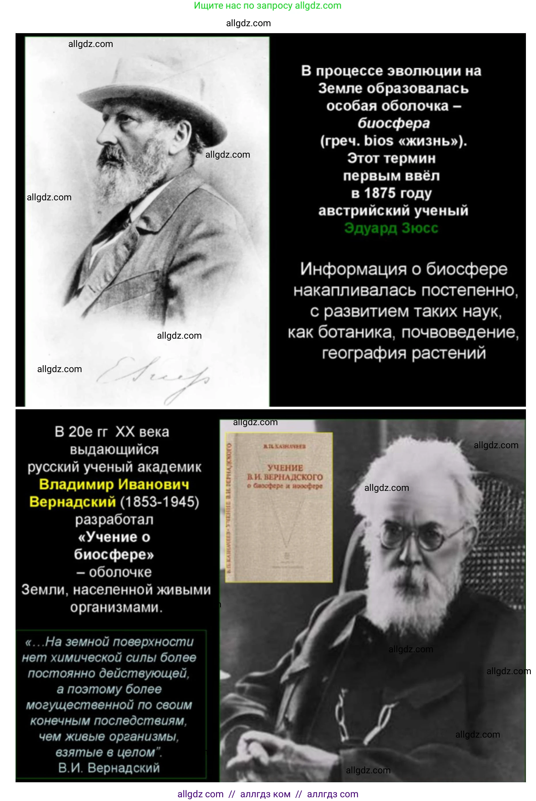 Биология, 11 класс Учебник, авторы: Пасечник Владимир Васильевич, Каменский Андрей Александрович, Рубцов Александр Михайлович, Швецов Глеб Геннадьевич, Абовян Леван Арташесович, Гапонюк Зоя Георгиевна, издательство Просвещение, Москва, 2019, страница 215, номер 4, Решение 1 (продолжение 3)
