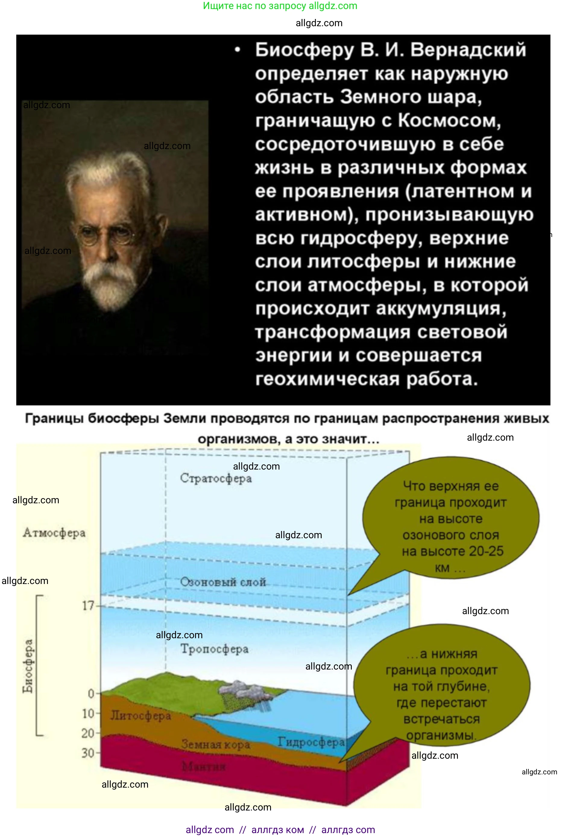 Биология, 11 класс Учебник, авторы: Пасечник Владимир Васильевич, Каменский Андрей Александрович, Рубцов Александр Михайлович, Швецов Глеб Геннадьевич, Абовян Леван Арташесович, Гапонюк Зоя Георгиевна, издательство Просвещение, Москва, 2019, страница 215, номер 4, Решение 1 (продолжение 4)