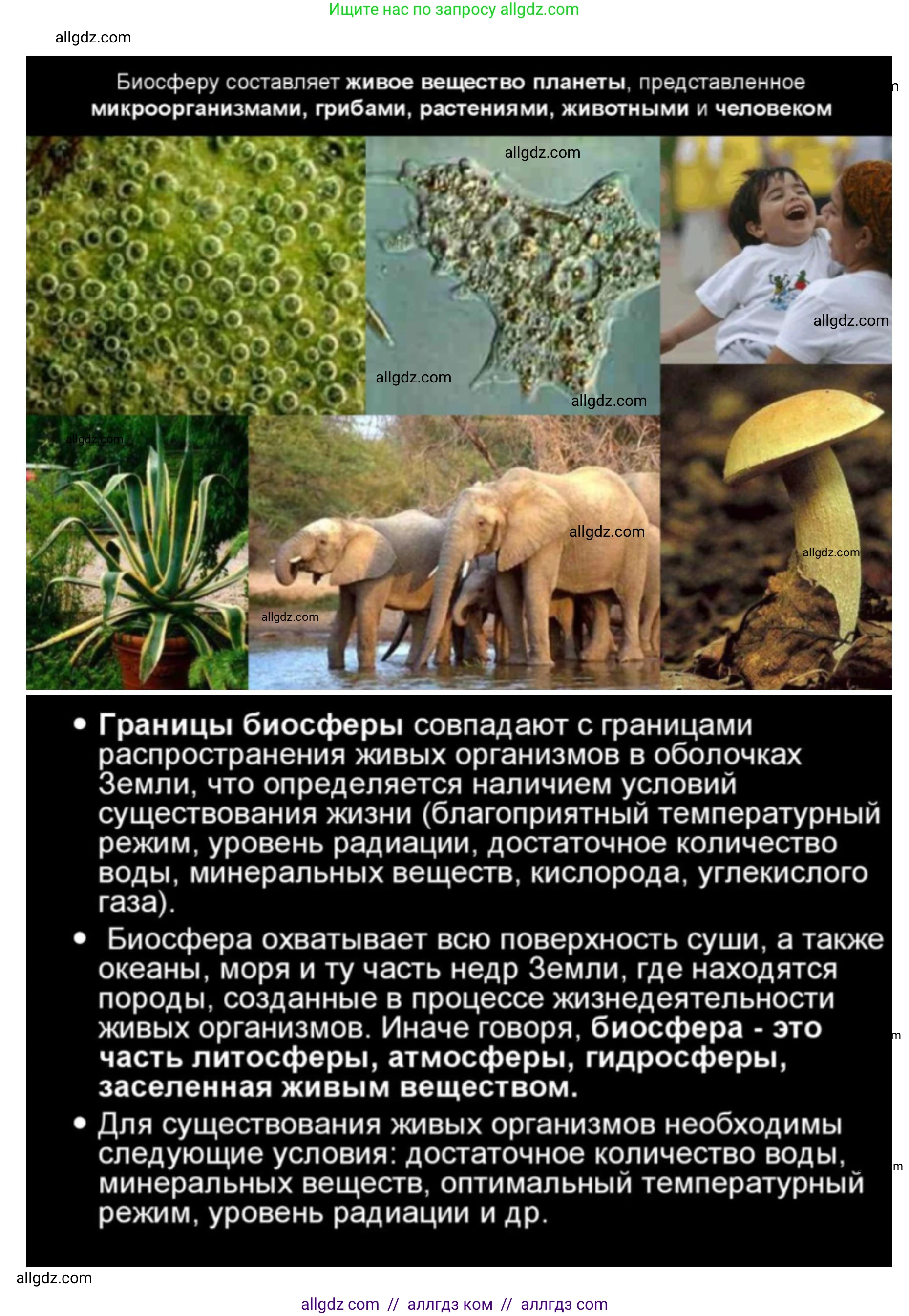 Биология, 11 класс Учебник, авторы: Пасечник Владимир Васильевич, Каменский Андрей Александрович, Рубцов Александр Михайлович, Швецов Глеб Геннадьевич, Абовян Леван Арташесович, Гапонюк Зоя Георгиевна, издательство Просвещение, Москва, 2019, страница 215, номер 4, Решение 1 (продолжение 5)