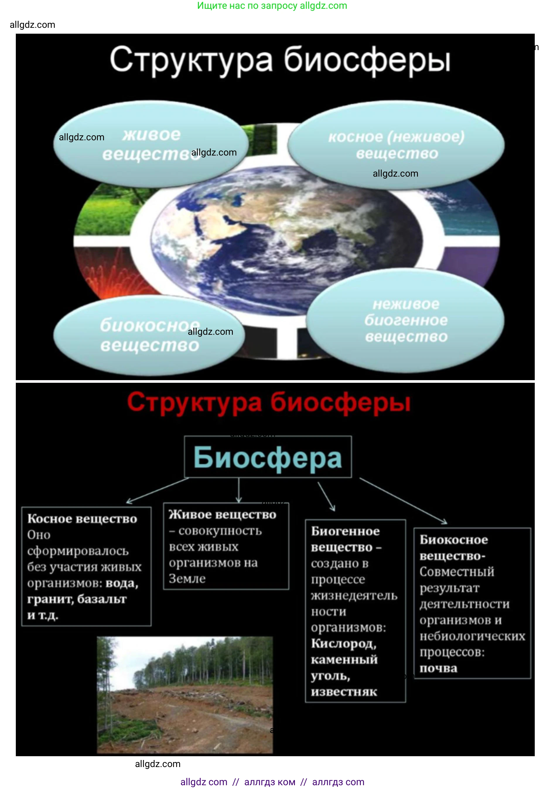 Биология, 11 класс Учебник, авторы: Пасечник Владимир Васильевич, Каменский Андрей Александрович, Рубцов Александр Михайлович, Швецов Глеб Геннадьевич, Абовян Леван Арташесович, Гапонюк Зоя Георгиевна, издательство Просвещение, Москва, 2019, страница 215, номер 4, Решение 1 (продолжение 6)