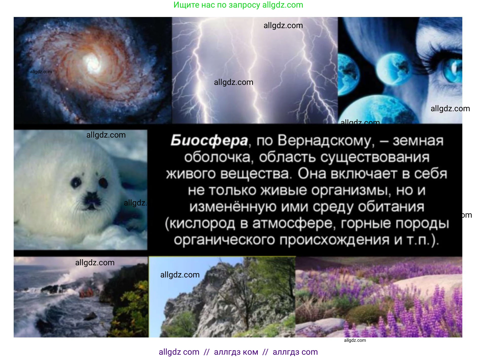 Биология, 11 класс Учебник, авторы: Пасечник Владимир Васильевич, Каменский Андрей Александрович, Рубцов Александр Михайлович, Швецов Глеб Геннадьевич, Абовян Леван Арташесович, Гапонюк Зоя Георгиевна, издательство Просвещение, Москва, 2019, страница 215, номер 4, Решение 1 (продолжение 7)