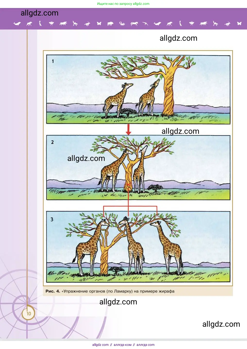 Биология, 11 класс Учебник, авторы: Пасечник Владимир Васильевич, Каменский Андрей Александрович, Рубцов Александр Михайлович, Швецов Глеб Геннадьевич, Абовян Леван Арташесович, Гапонюк Зоя Георгиевна, издательство Просвещение, Москва, 2023, страница 10