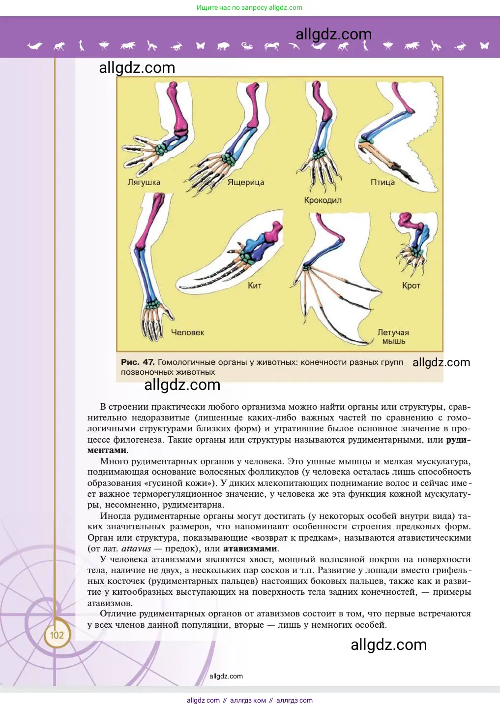Биология, 11 класс Учебник, авторы: Пасечник Владимир Васильевич, Каменский Андрей Александрович, Рубцов Александр Михайлович, Швецов Глеб Геннадьевич, Абовян Леван Арташесович, Гапонюк Зоя Георгиевна, издательство Просвещение, Москва, 2023, страница 102