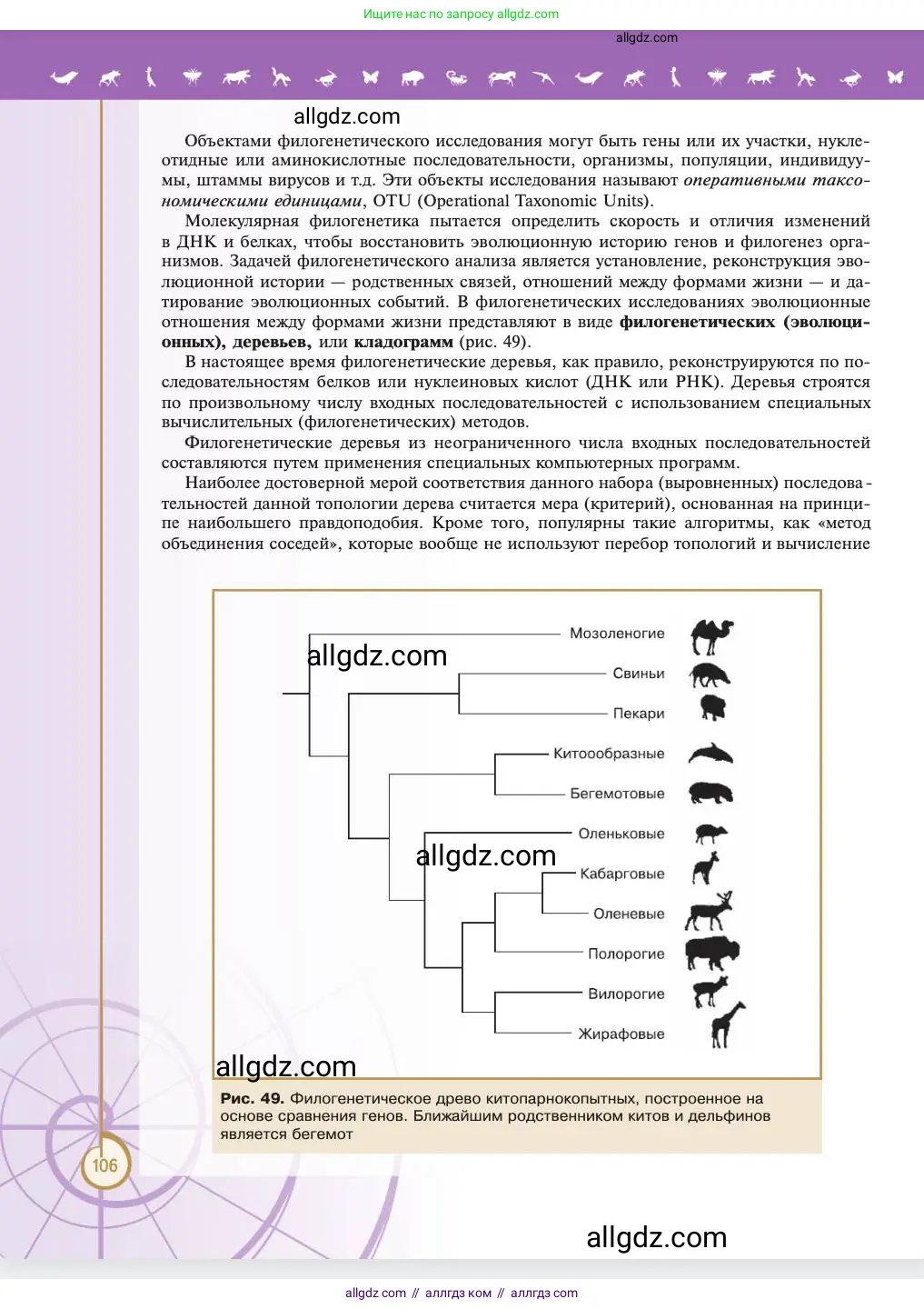 Биология, 11 класс Учебник, авторы: Пасечник Владимир Васильевич, Каменский Андрей Александрович, Рубцов Александр Михайлович, Швецов Глеб Геннадьевич, Абовян Леван Арташесович, Гапонюк Зоя Георгиевна, издательство Просвещение, Москва, 2023, страница 106