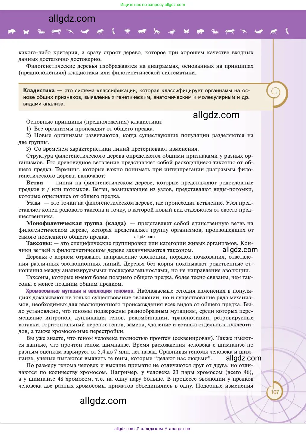 Биология, 11 класс Учебник, авторы: Пасечник Владимир Васильевич, Каменский Андрей Александрович, Рубцов Александр Михайлович, Швецов Глеб Геннадьевич, Абовян Леван Арташесович, Гапонюк Зоя Георгиевна, издательство Просвещение, Москва, 2023, страница 107