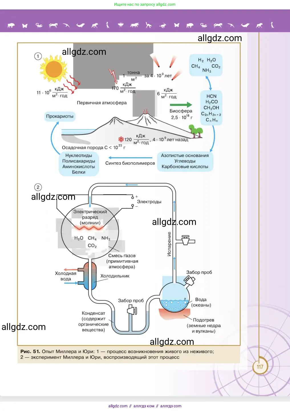 Биология, 11 класс Учебник, авторы: Пасечник Владимир Васильевич, Каменский Андрей Александрович, Рубцов Александр Михайлович, Швецов Глеб Геннадьевич, Абовян Леван Арташесович, Гапонюк Зоя Георгиевна, издательство Просвещение, Москва, 2023, страница 117