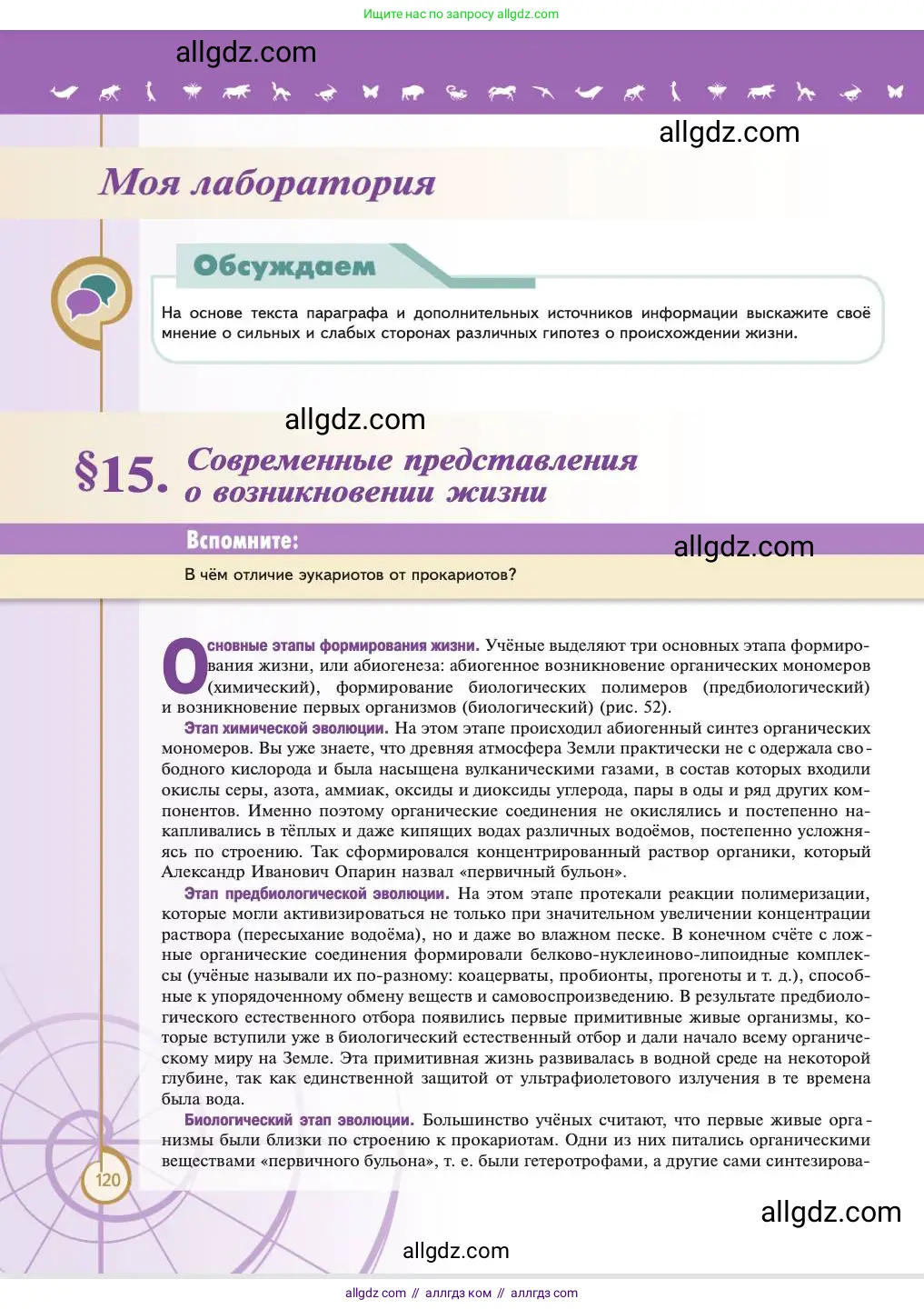 Биология, 11 класс Учебник, авторы: Пасечник Владимир Васильевич, Каменский Андрей Александрович, Рубцов Александр Михайлович, Швецов Глеб Геннадьевич, Абовян Леван Арташесович, Гапонюк Зоя Георгиевна, издательство Просвещение, Москва, 2023, страница 120