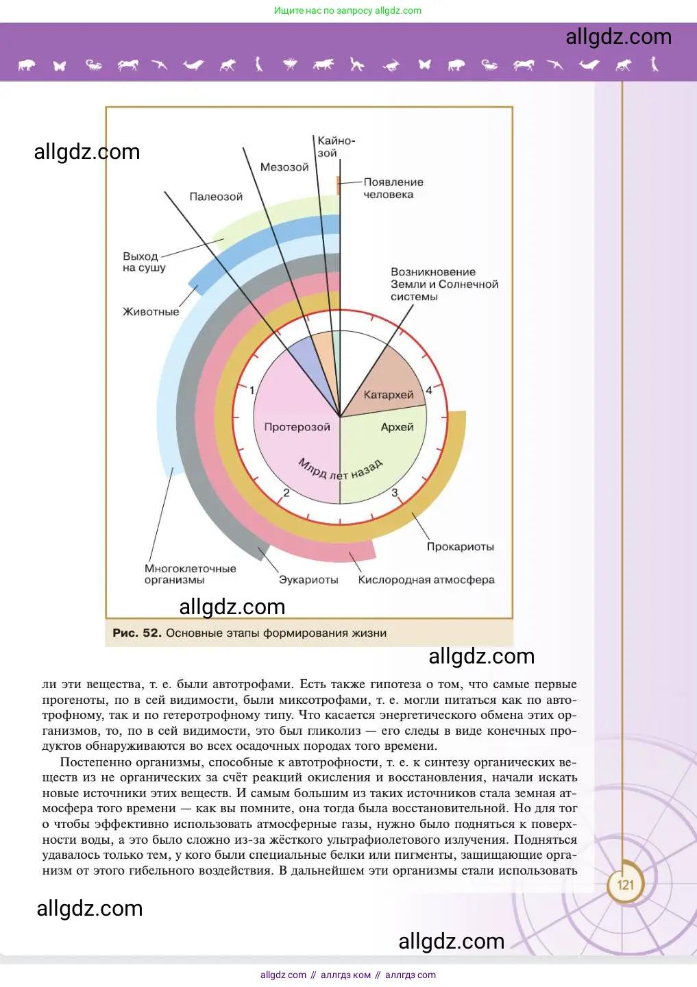 Биология, 11 класс Учебник, авторы: Пасечник Владимир Васильевич, Каменский Андрей Александрович, Рубцов Александр Михайлович, Швецов Глеб Геннадьевич, Абовян Леван Арташесович, Гапонюк Зоя Георгиевна, издательство Просвещение, Москва, 2023, страница 121