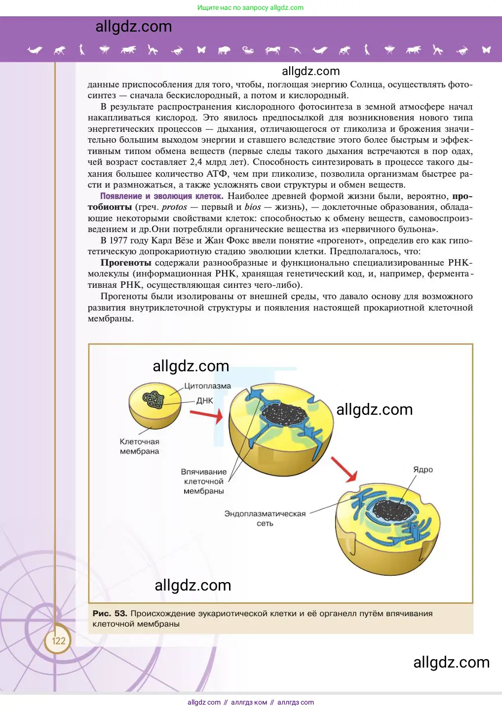 Биология, 11 класс Учебник, авторы: Пасечник Владимир Васильевич, Каменский Андрей Александрович, Рубцов Александр Михайлович, Швецов Глеб Геннадьевич, Абовян Леван Арташесович, Гапонюк Зоя Георгиевна, издательство Просвещение, Москва, 2023, страница 122