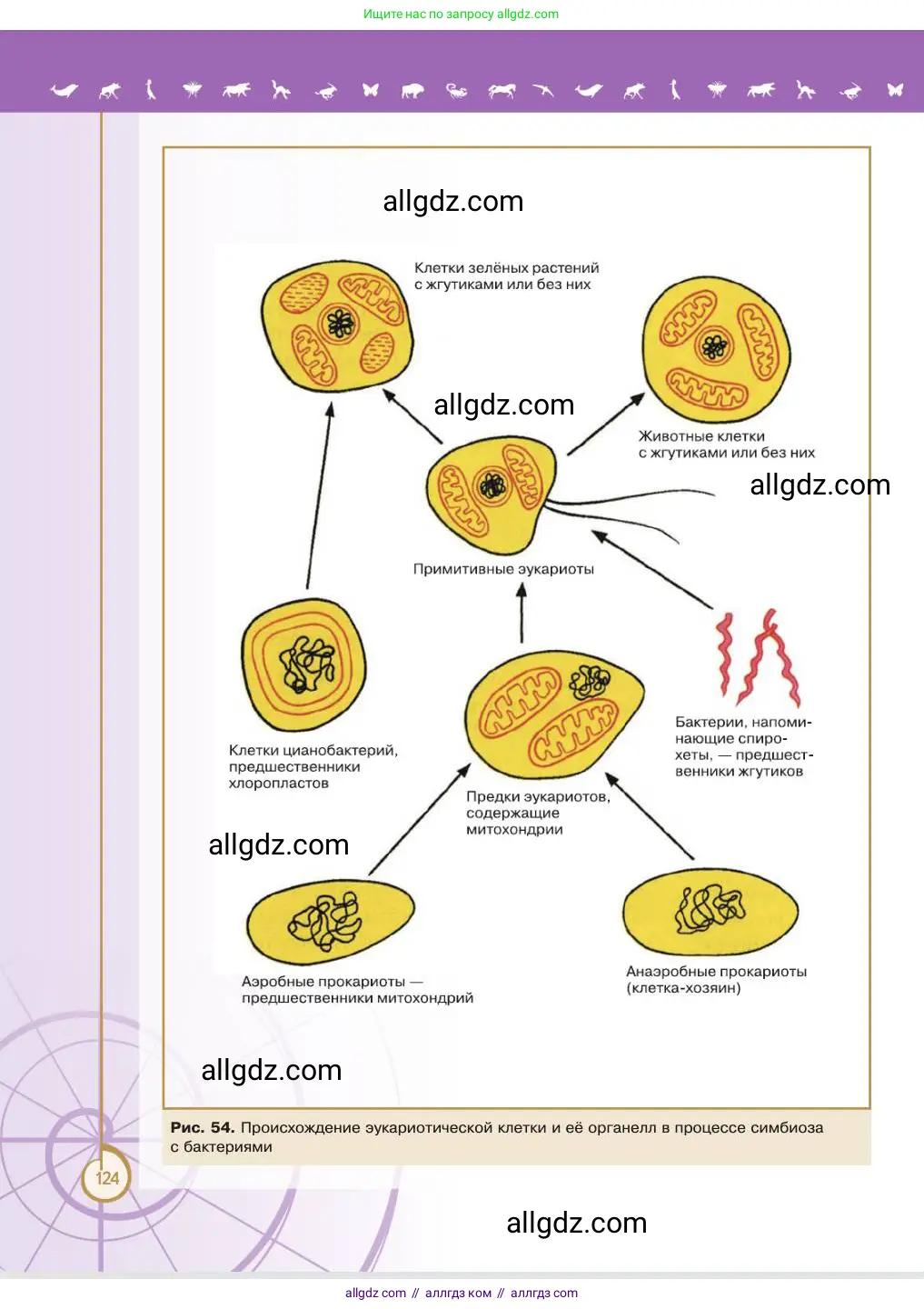 Биология, 11 класс Учебник, авторы: Пасечник Владимир Васильевич, Каменский Андрей Александрович, Рубцов Александр Михайлович, Швецов Глеб Геннадьевич, Абовян Леван Арташесович, Гапонюк Зоя Георгиевна, издательство Просвещение, Москва, 2023, страница 124
