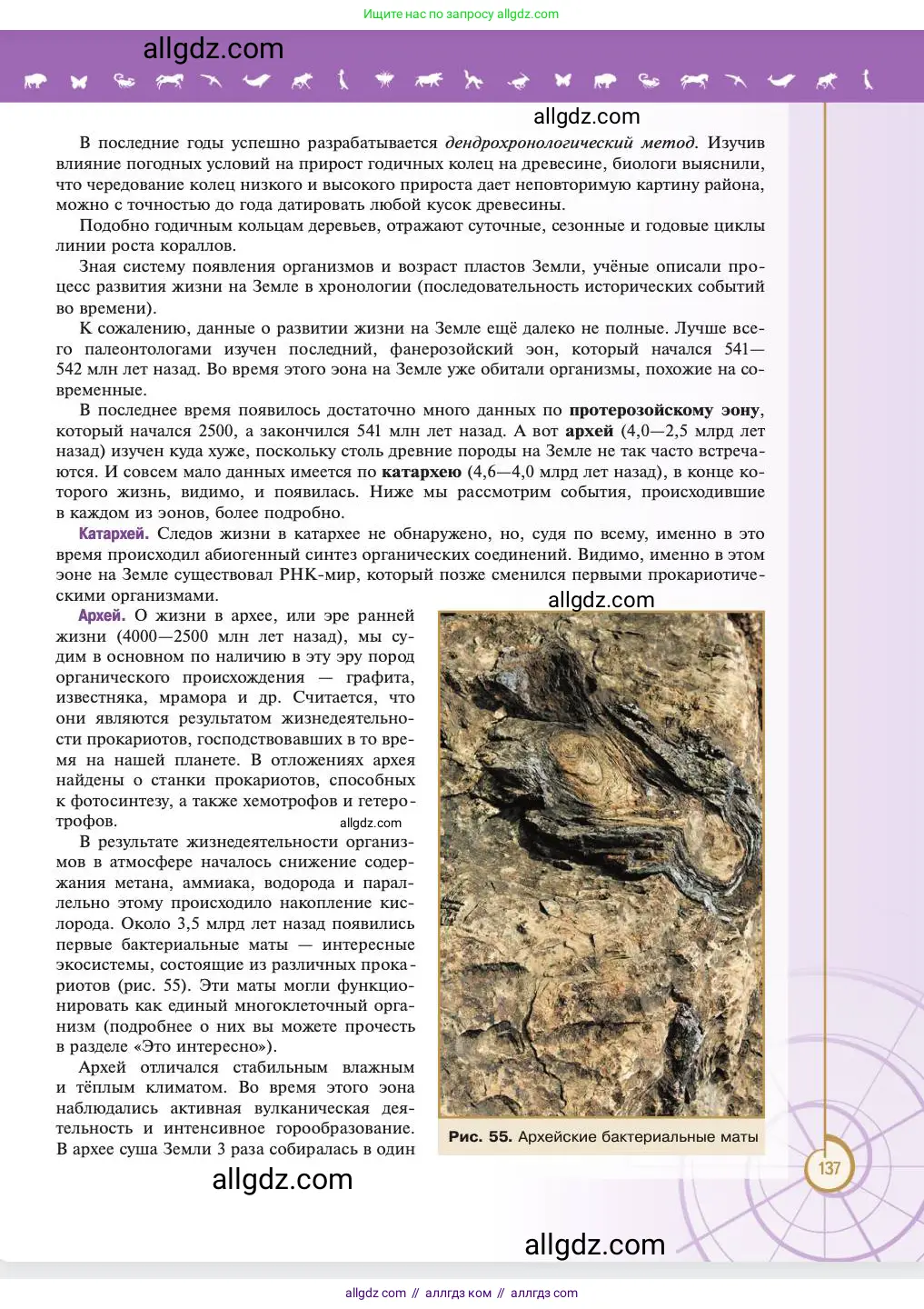 Биология, 11 класс Учебник, авторы: Пасечник Владимир Васильевич, Каменский Андрей Александрович, Рубцов Александр Михайлович, Швецов Глеб Геннадьевич, Абовян Леван Арташесович, Гапонюк Зоя Георгиевна, издательство Просвещение, Москва, 2023, страница 137