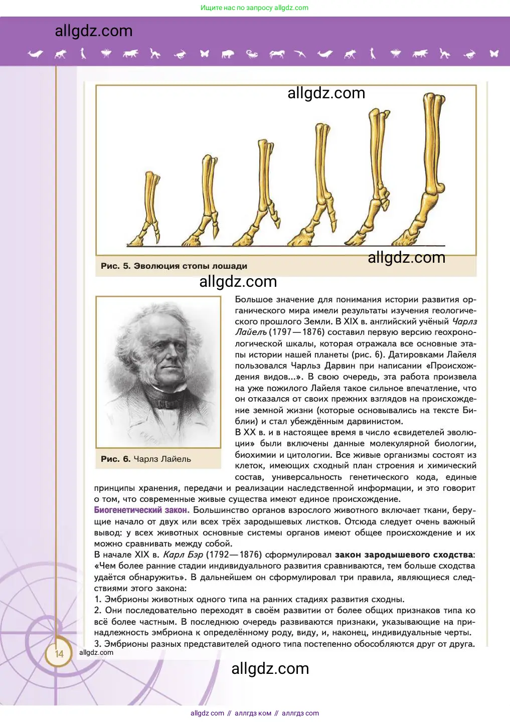 Биология, 11 класс Учебник, авторы: Пасечник Владимир Васильевич, Каменский Андрей Александрович, Рубцов Александр Михайлович, Швецов Глеб Геннадьевич, Абовян Леван Арташесович, Гапонюк Зоя Георгиевна, издательство Просвещение, Москва, 2023, страница 14